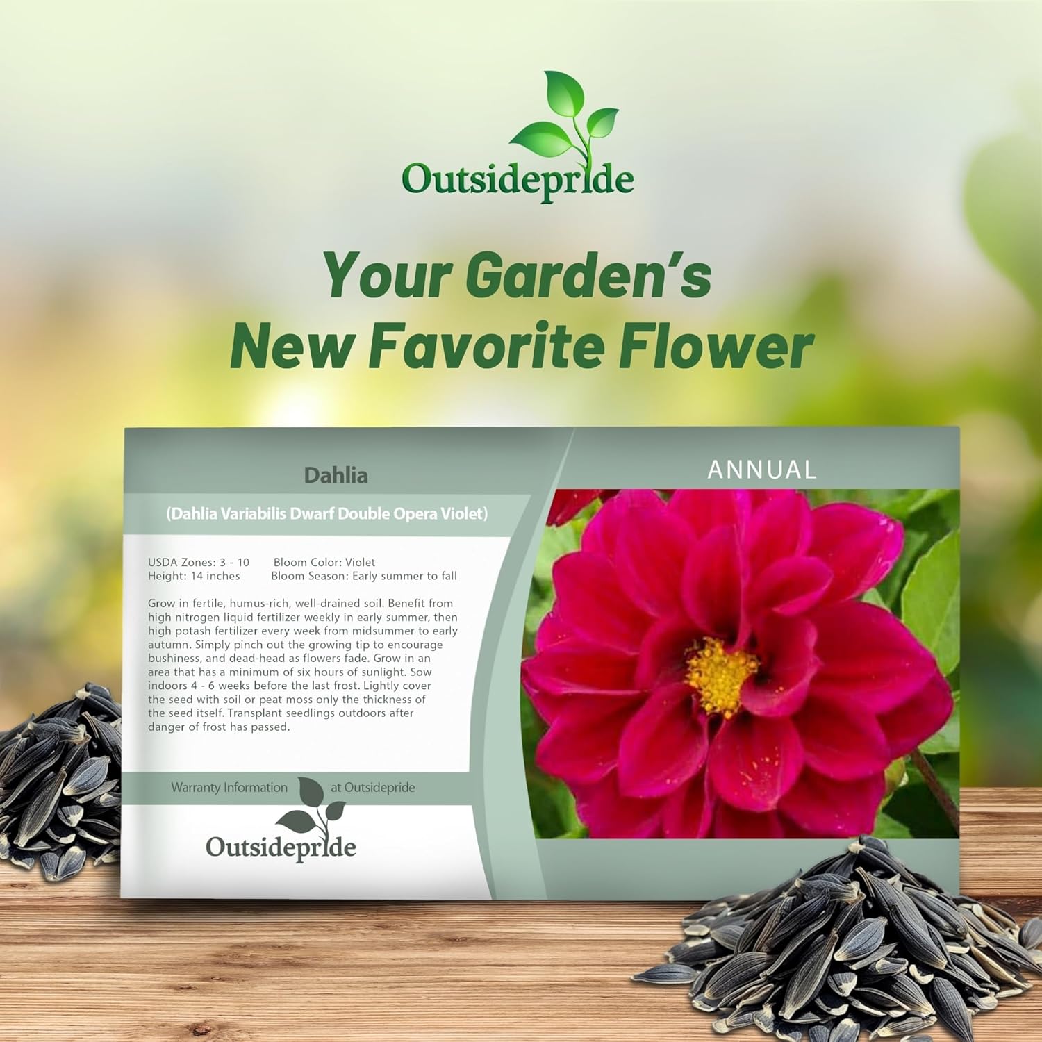 Dahlia Opera Violet Seed Packet
