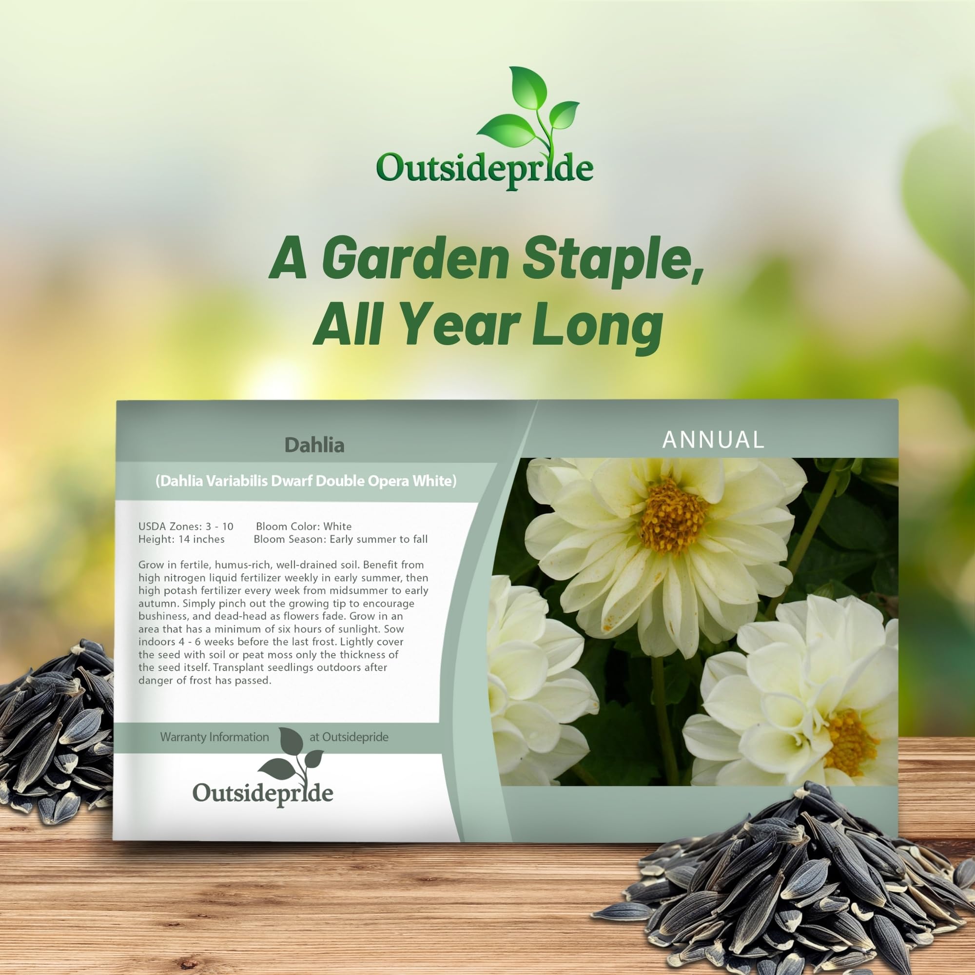 Dahlia Opera White Seed Packets