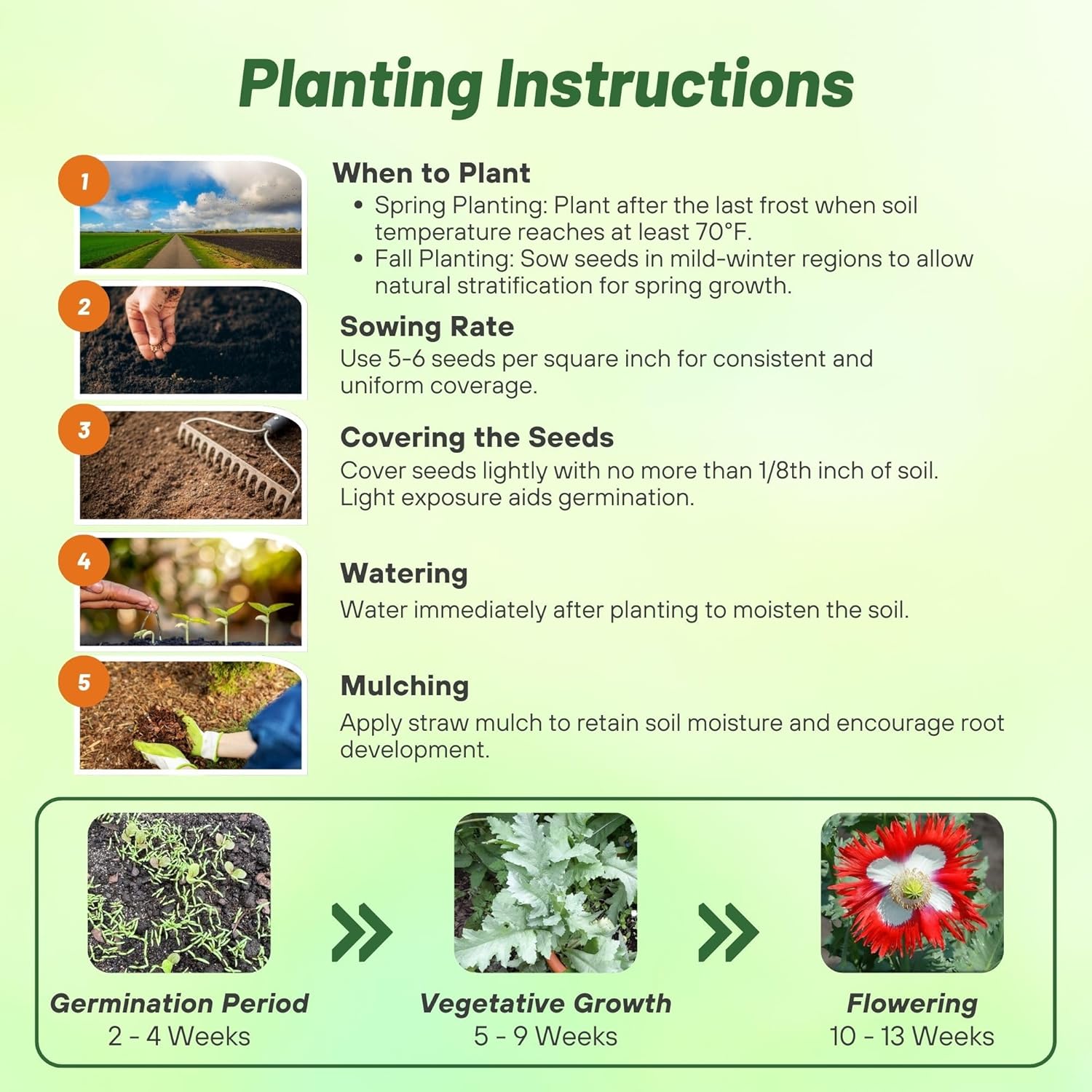 Poppy Danish Flag Planting Directions