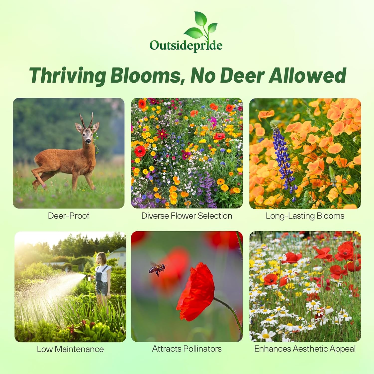 natural insect killer for vegetable garden Natural Guard Lawn Shield Insect 10 lb – Anderson's Seed & Garden