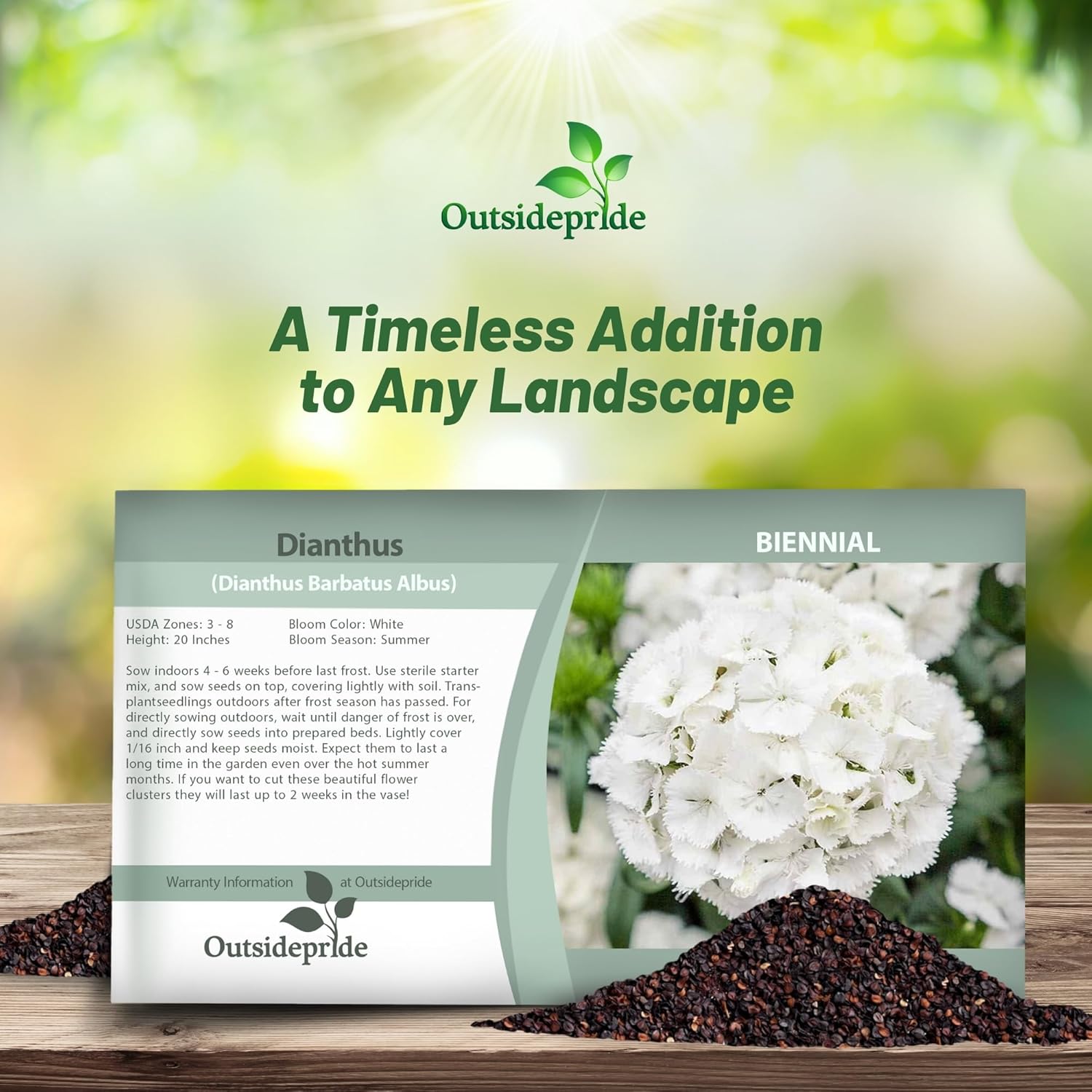 Dianthus Albus Flower Seed Packets