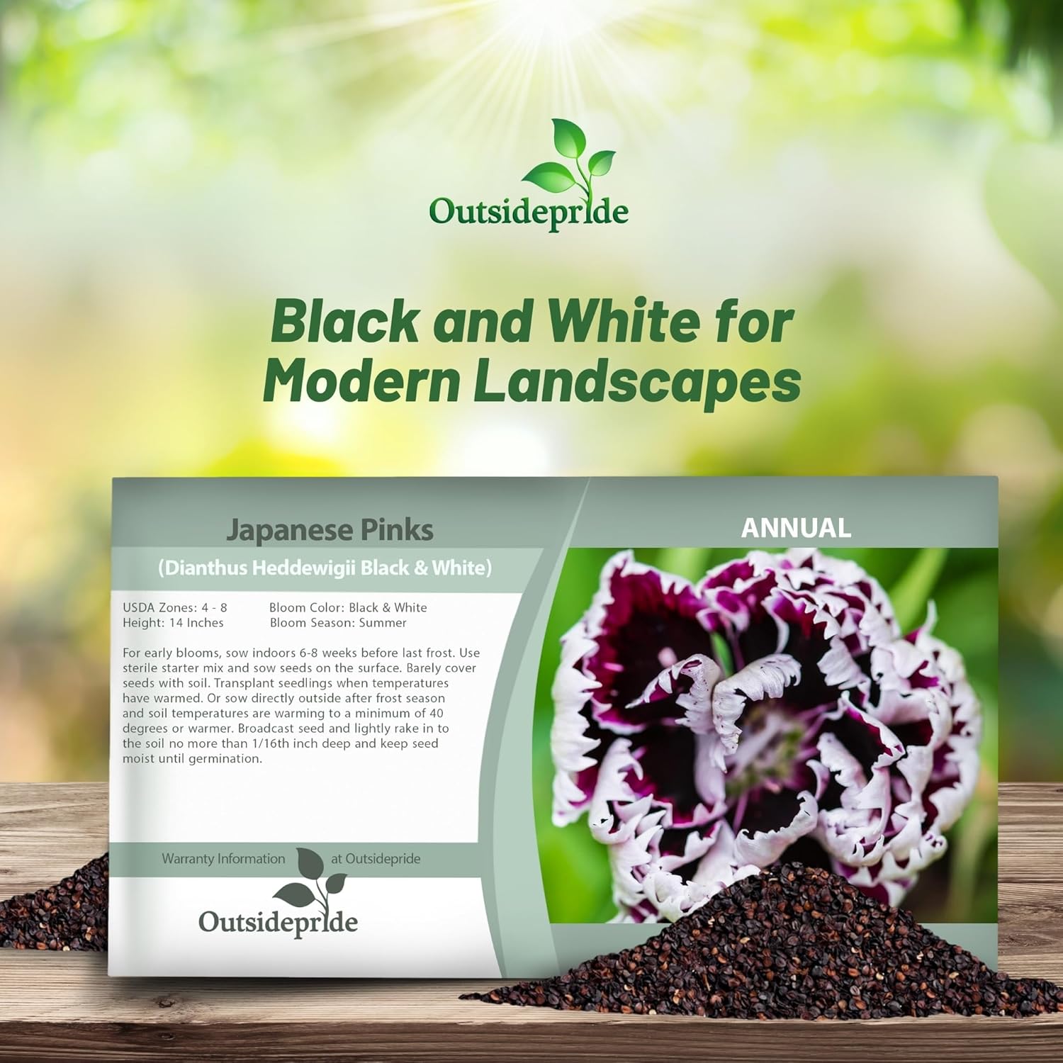 Dianthus Heddewigii Japanese Pinks Seed Packet