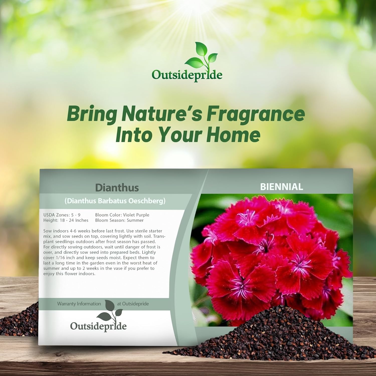 Dianthus Oeschberg Flower Seed Packet