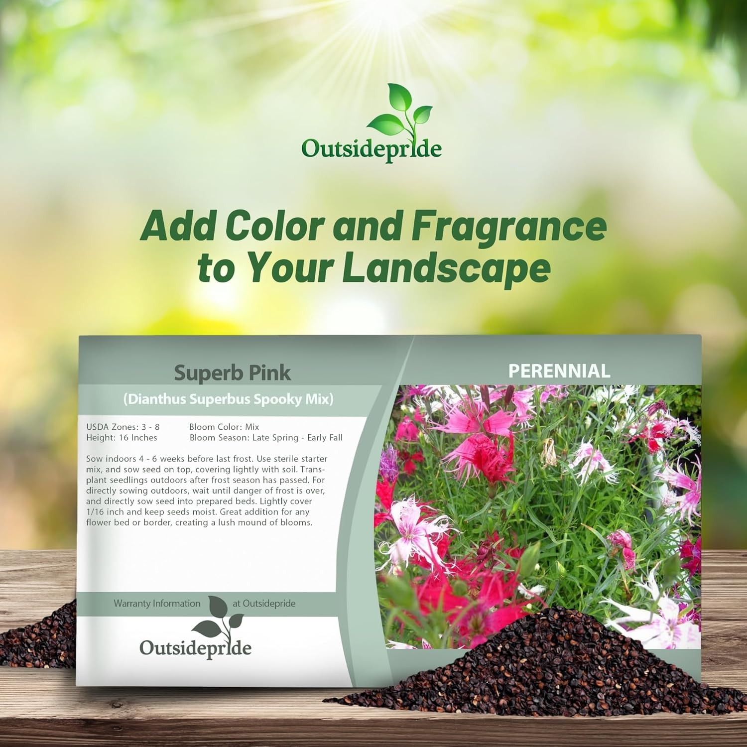 Dianthus Spooky Mix Planting Directions