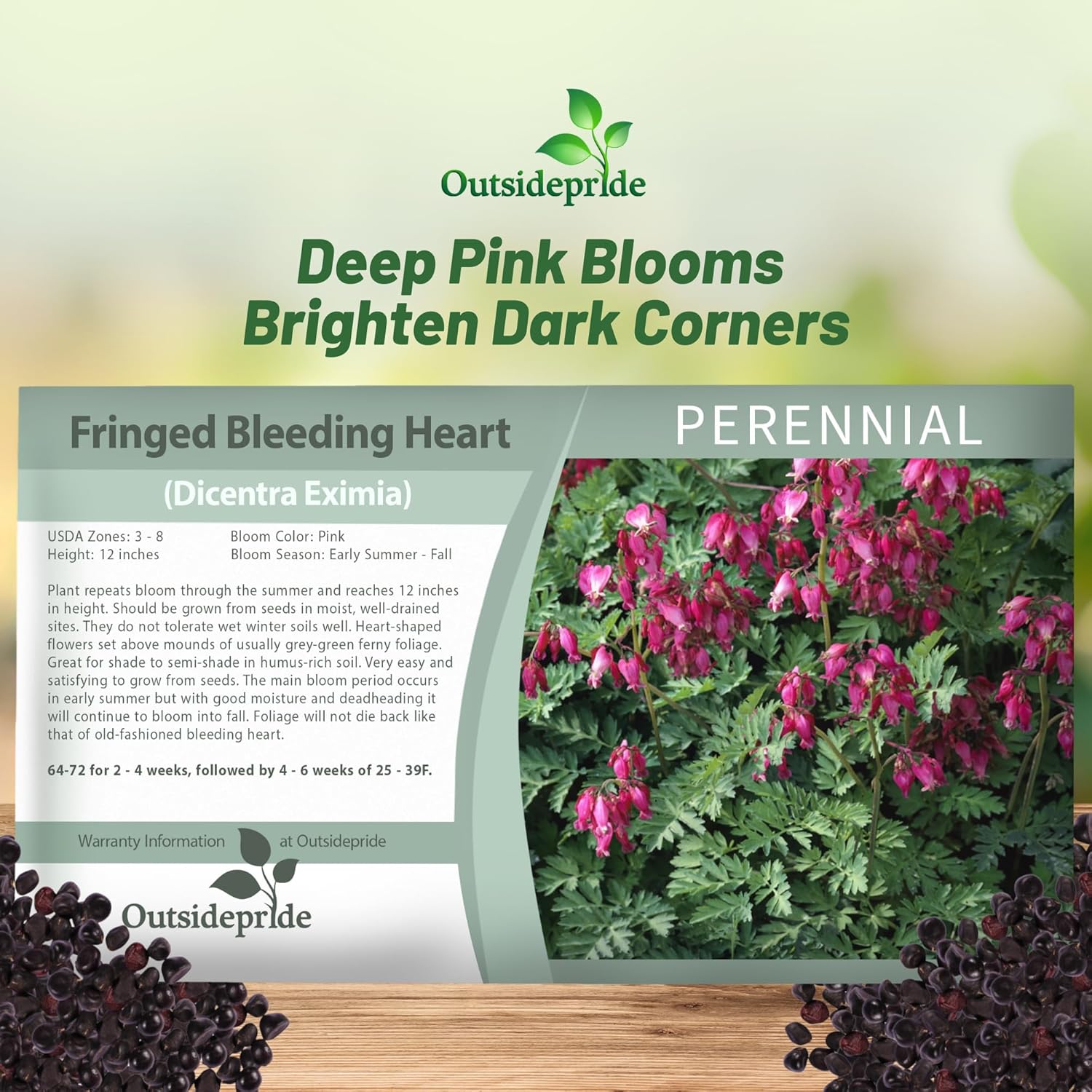 Dicentra Flower Seed Packet