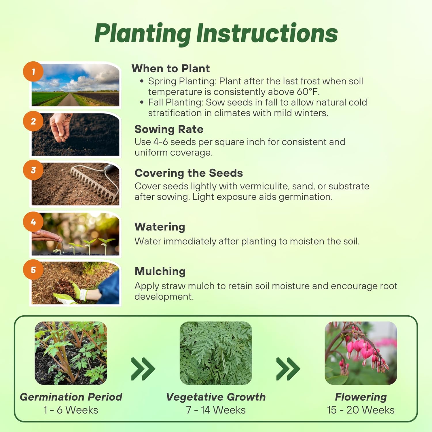 Wild Bleeding Heart Flower Seed Planting Directions