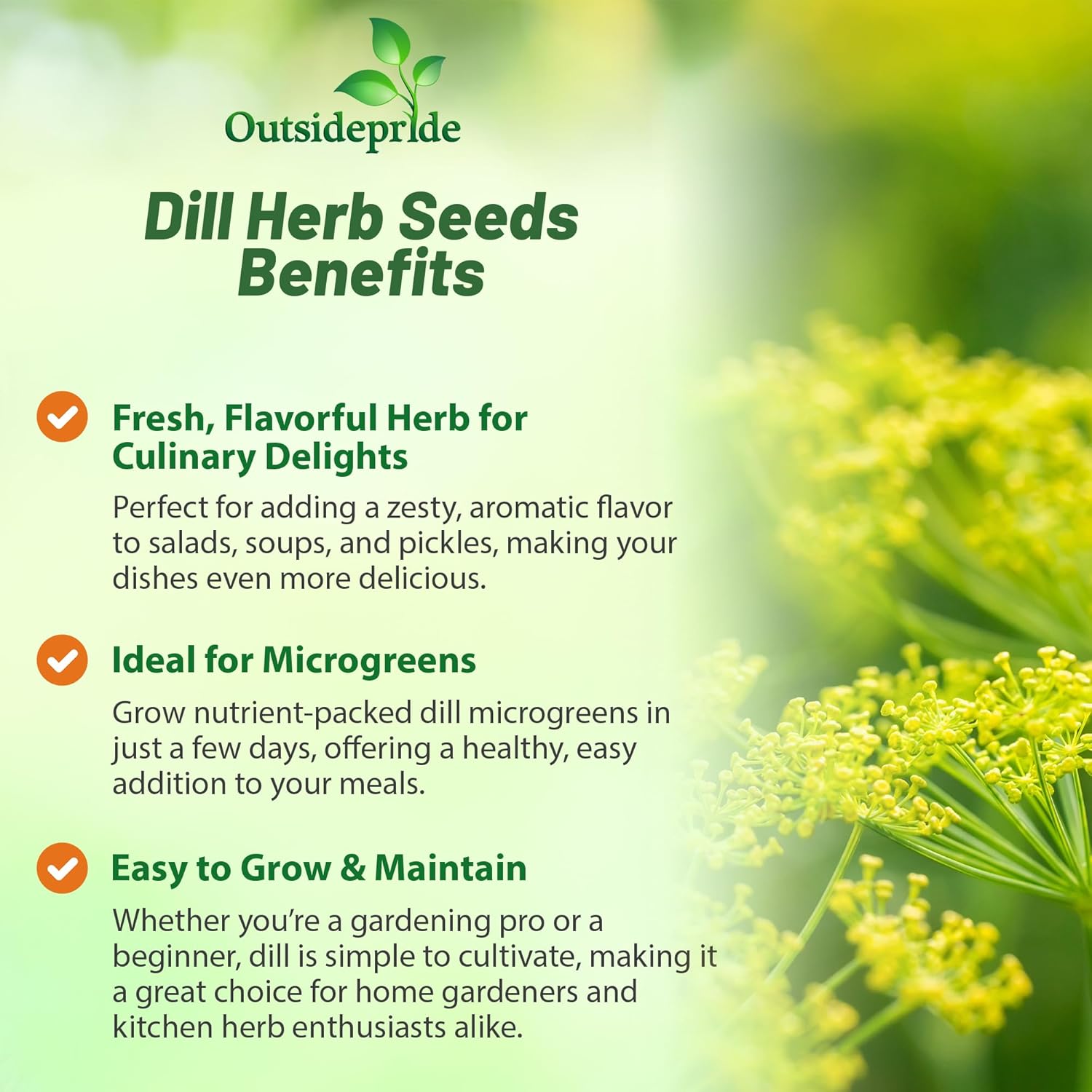 Dill Herb Flavoring