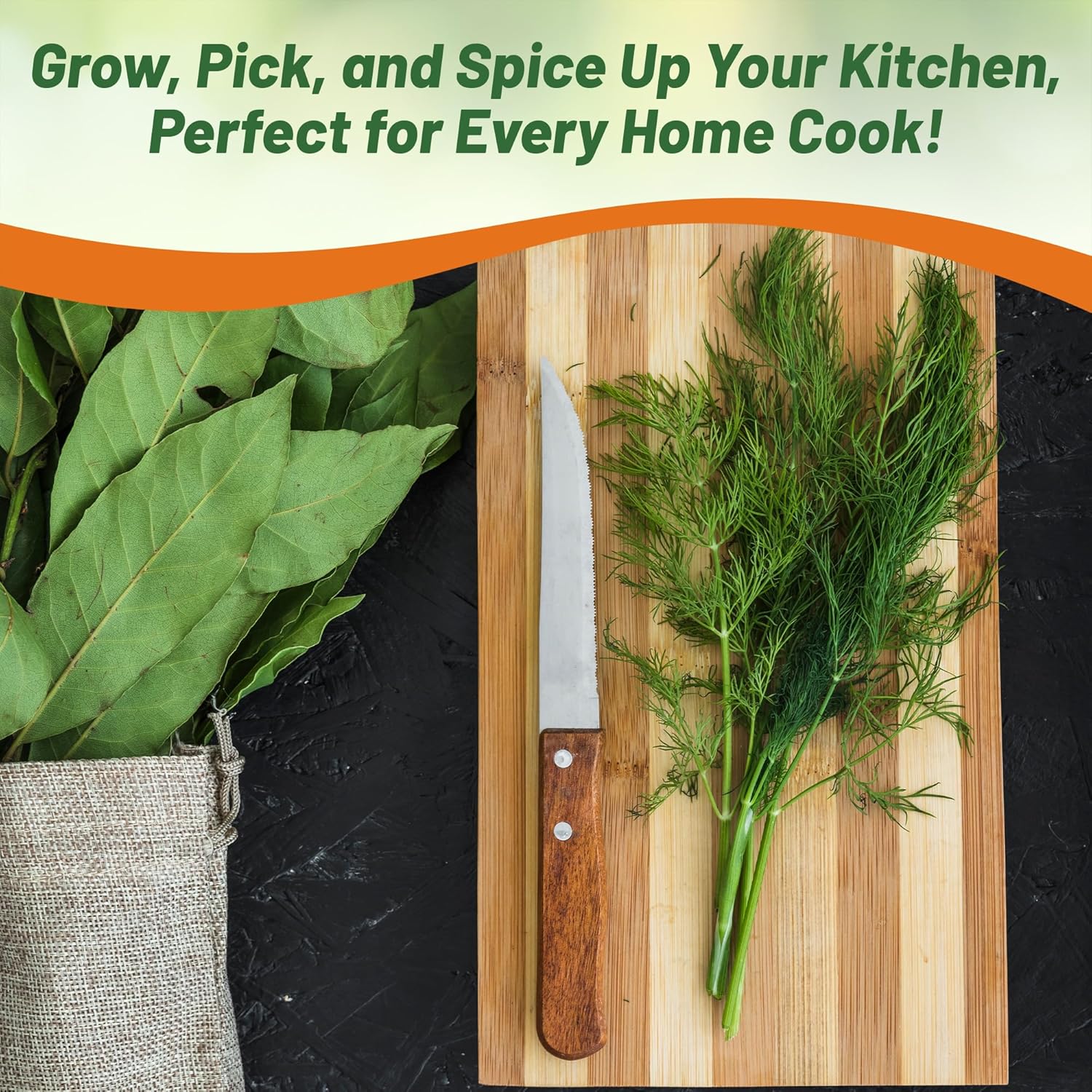 Dill Herb Planting Directions