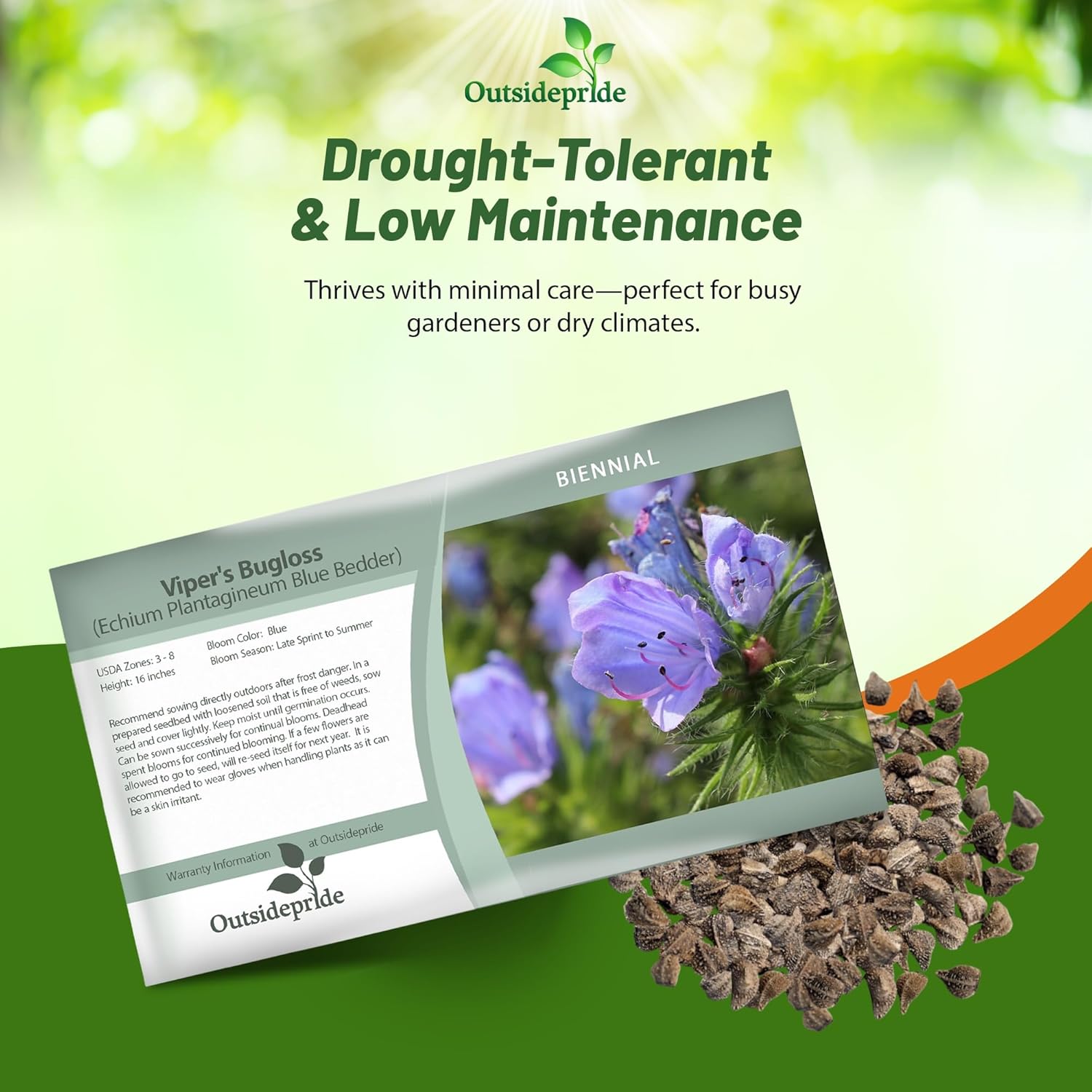 Echium Blue Bedder Flower Seed Packet