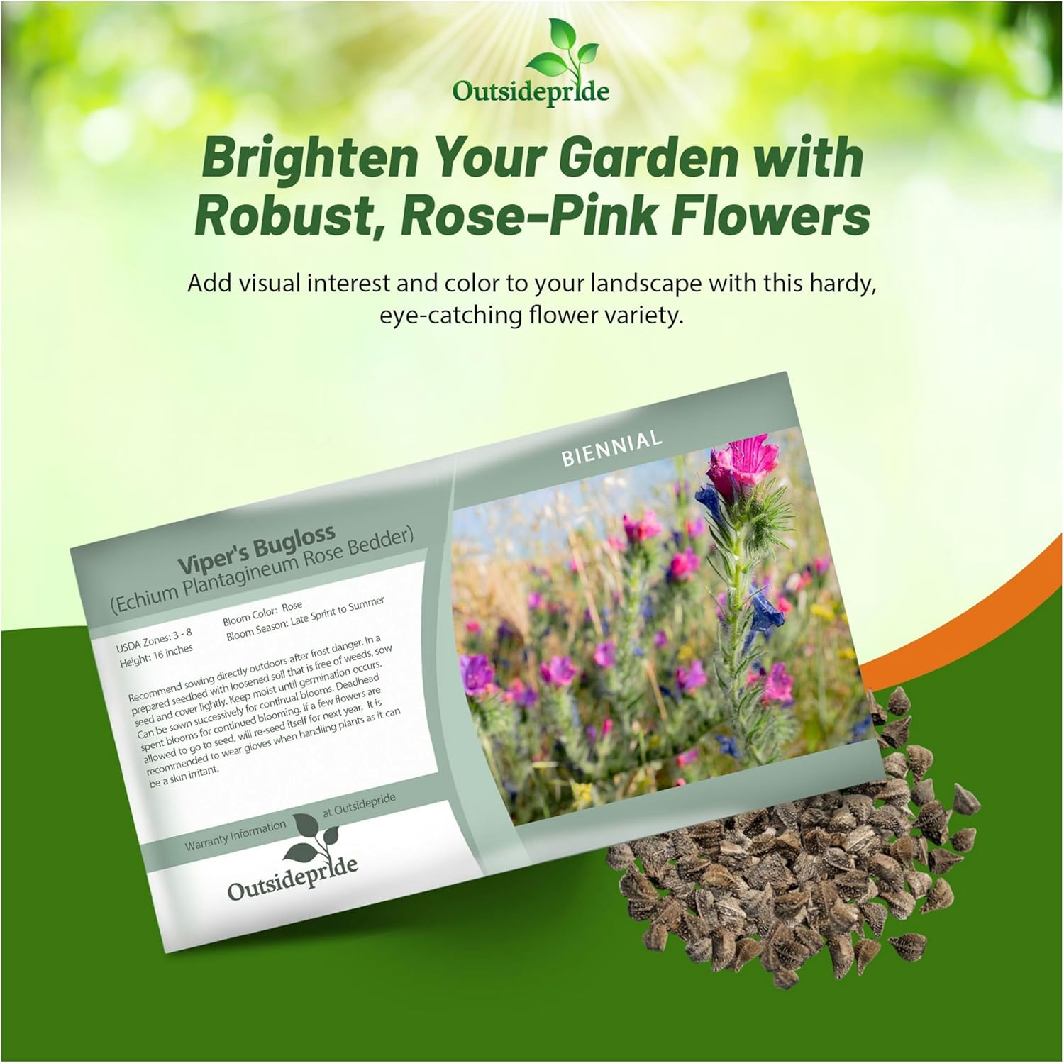 Echium Rose Bedder Flower Seed Packet