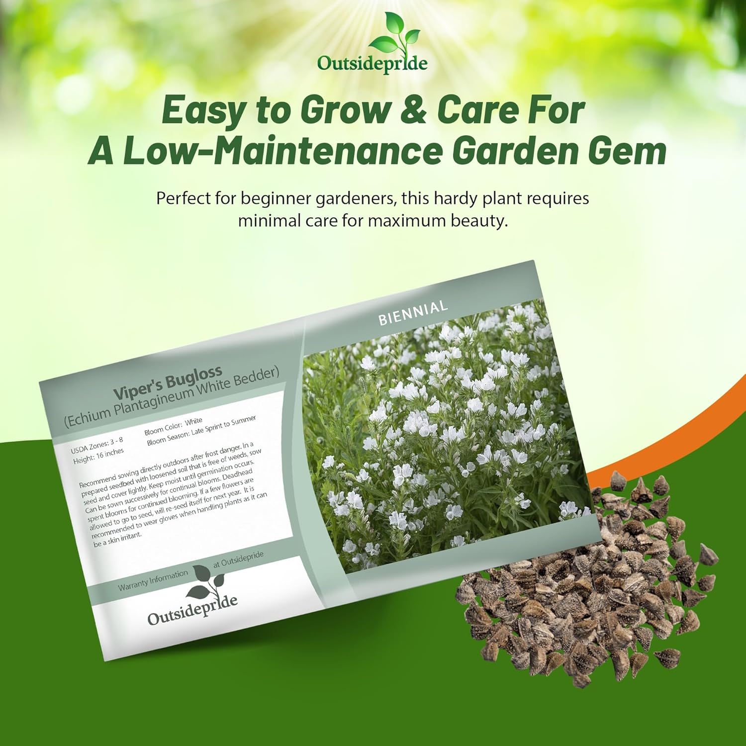 Echium White Bedder Flower Seed Packet