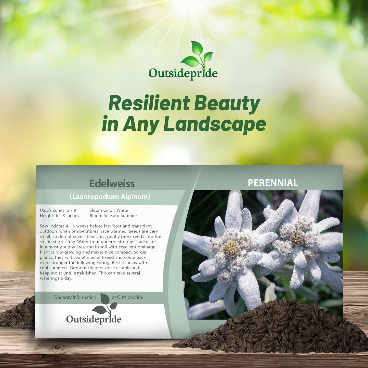 Edelweiss Groundcover Seed Packet