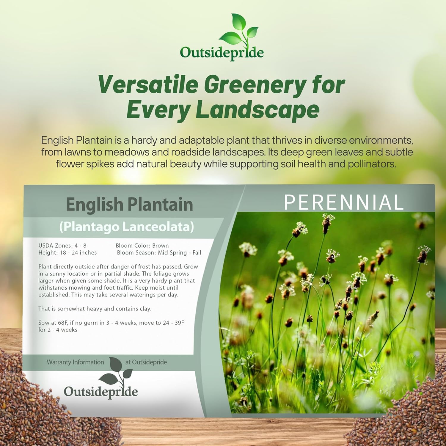 Plantago Lanceolata Seed Packets