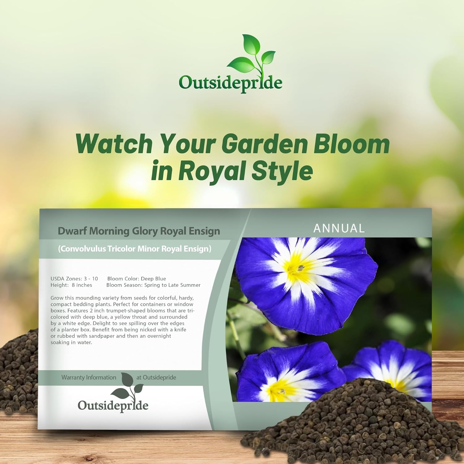 Royal Ensign Morning Glory Seed Packet