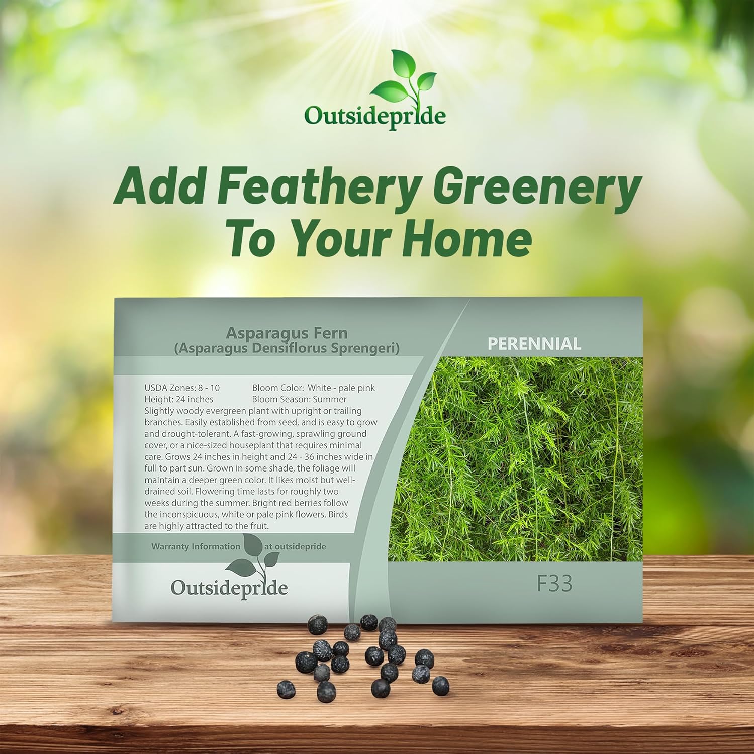Asparagus Fern Sprengeri Seed Packet