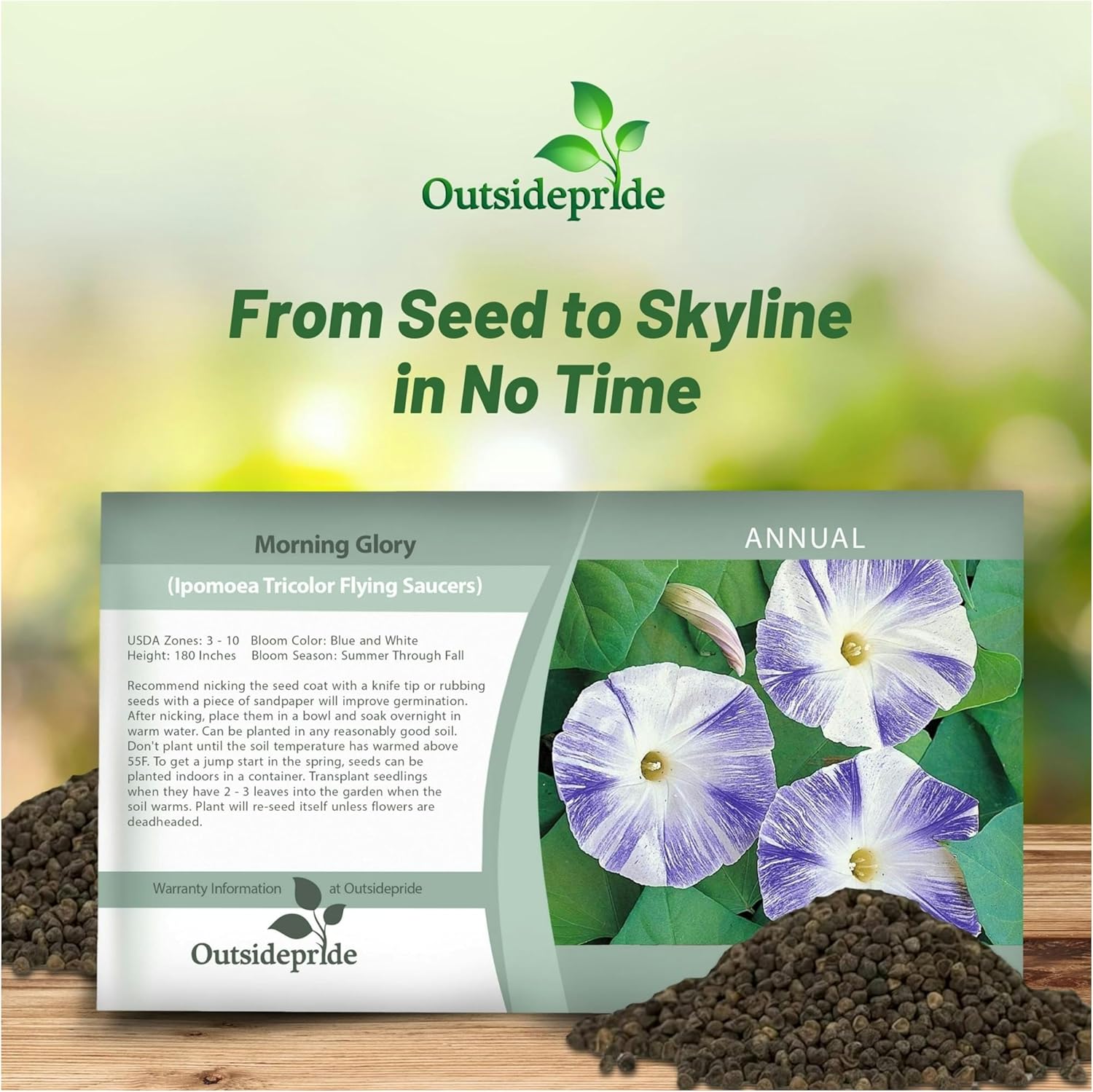Morning Glory Flying Saucers Seed Packet
