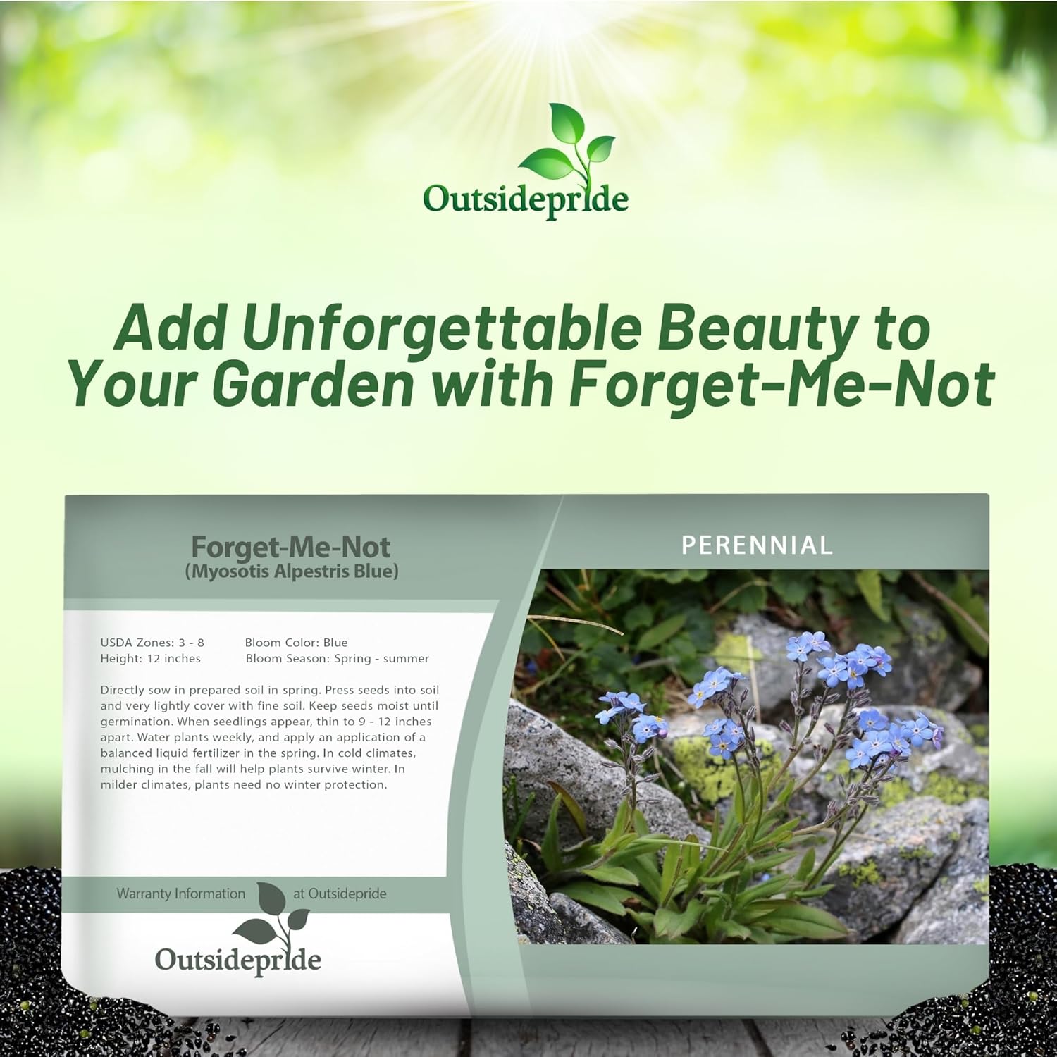 Forget Me Not Blue Flower Seed Packet