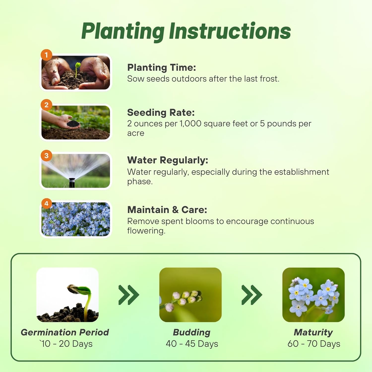 Forget Me Not Blue Planting Directions