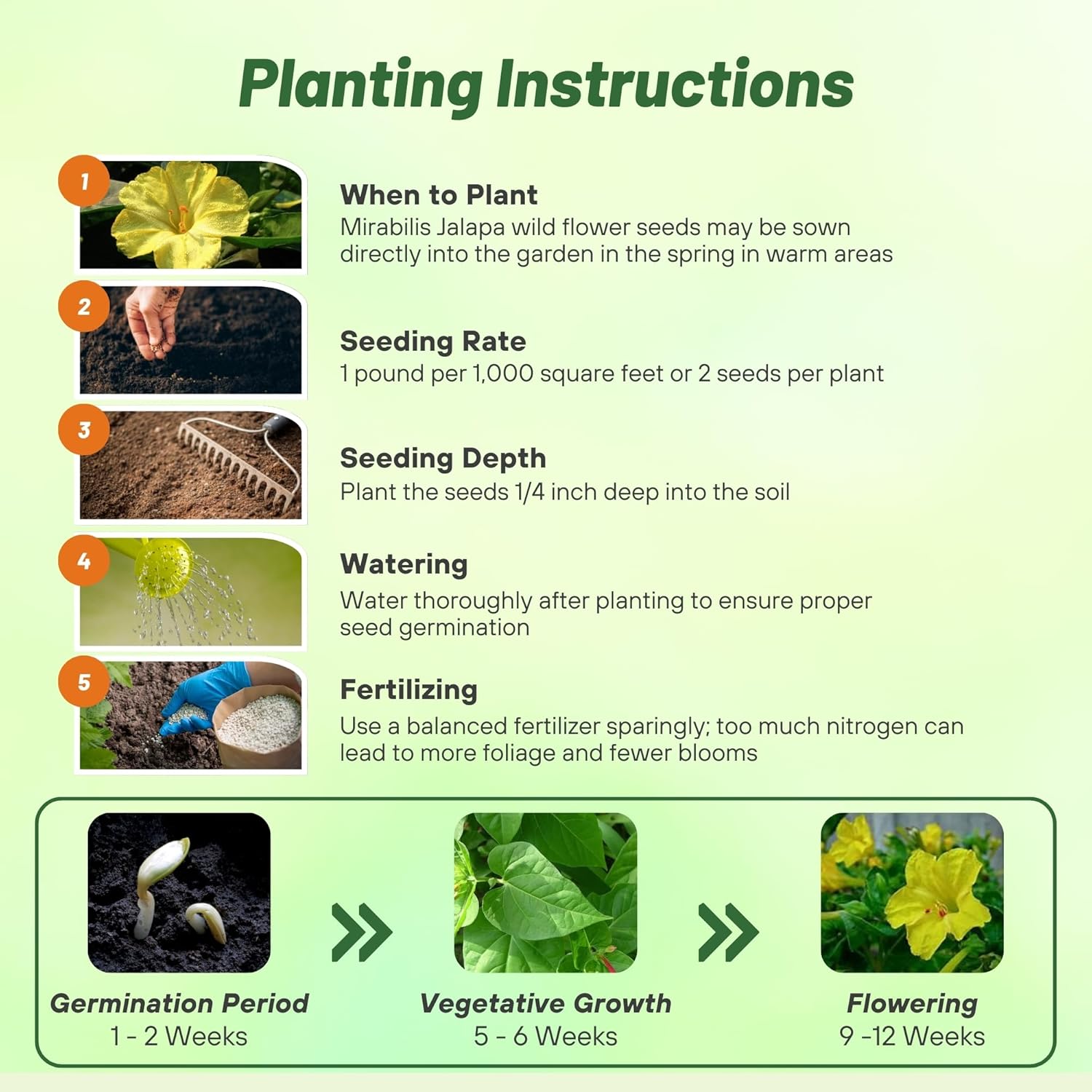 Four O'clock Yellow Planting Directions