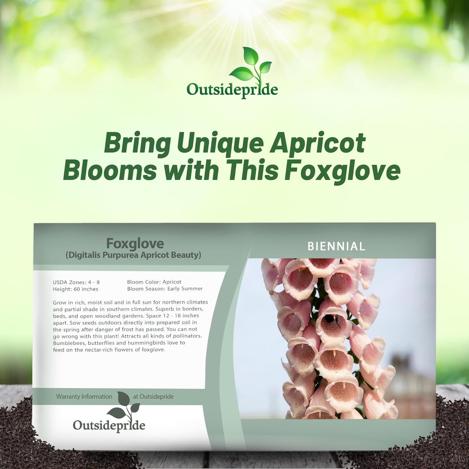 Foxglove Apricot Flower Seed Packet