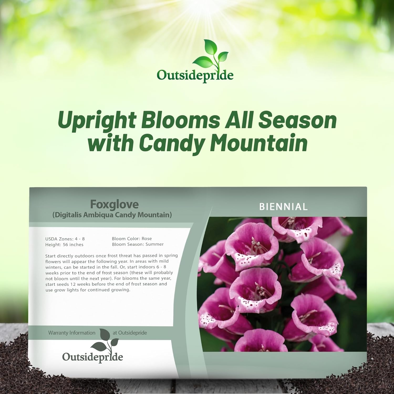 Foxglove Candy Mountain Flower Seed Packet