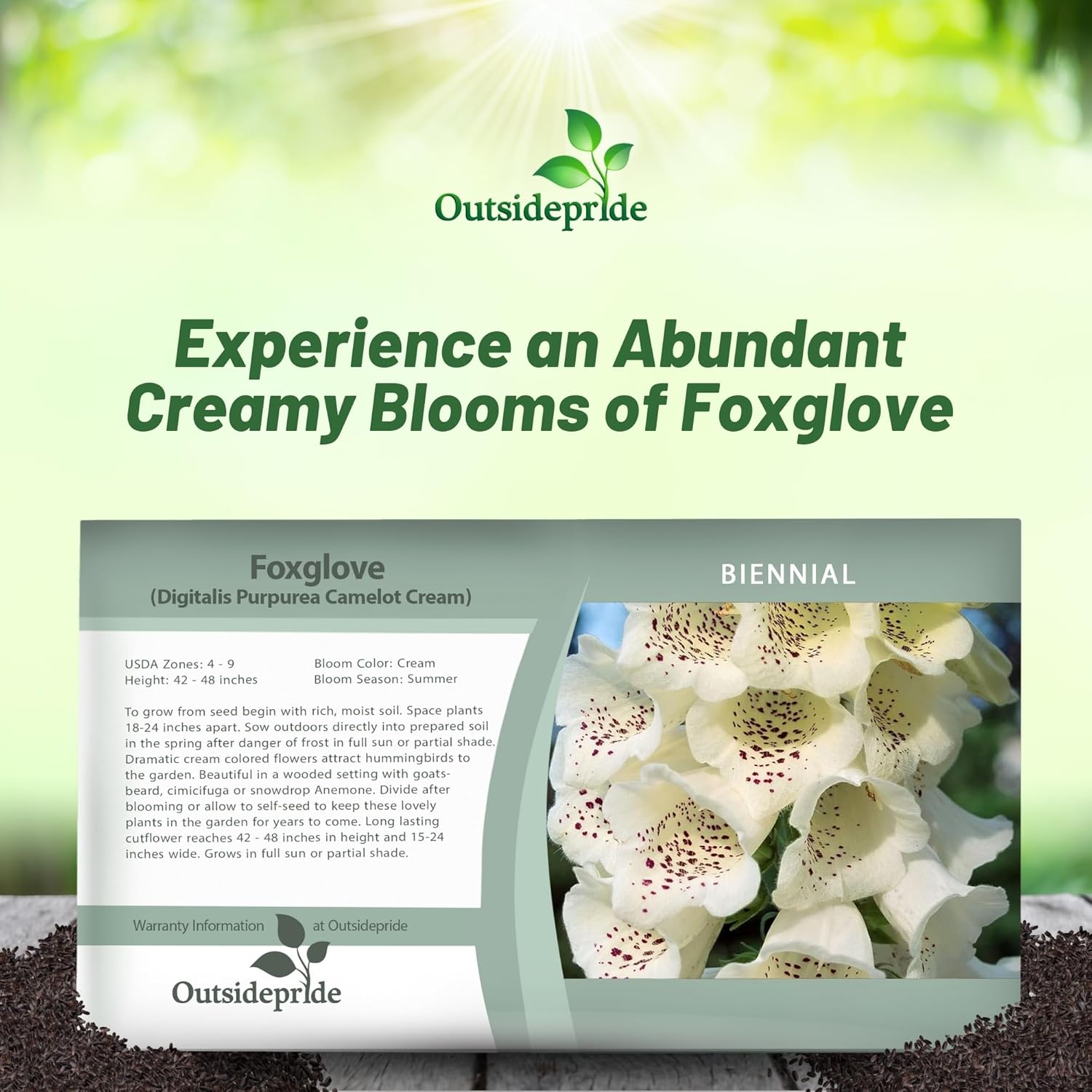 Foxglove Cream Flower Seed Packet