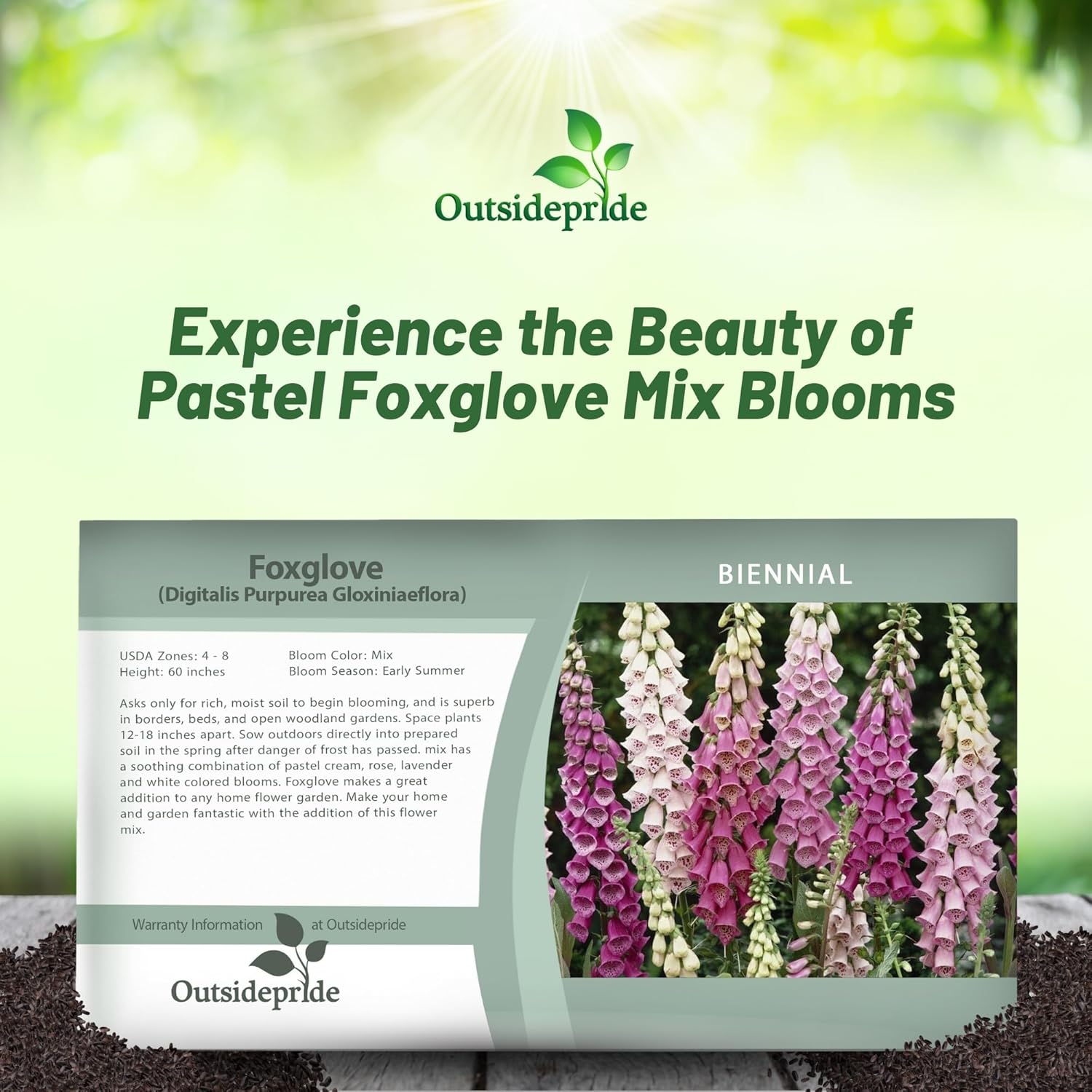 Foxglove Gloxiniaeflora Flower Seed Mix Packet