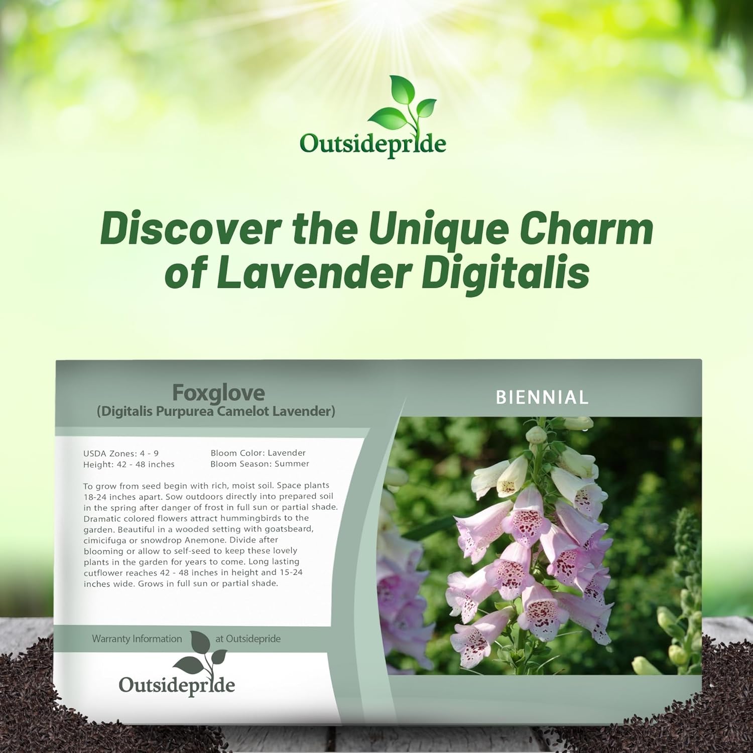 Foxglove Lavender Flower Seed Packet