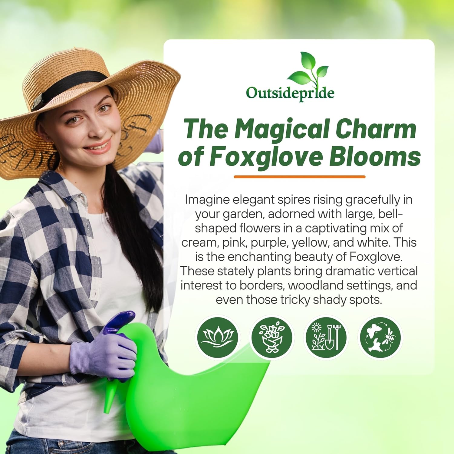 Foxglove Mix Cut Flowers