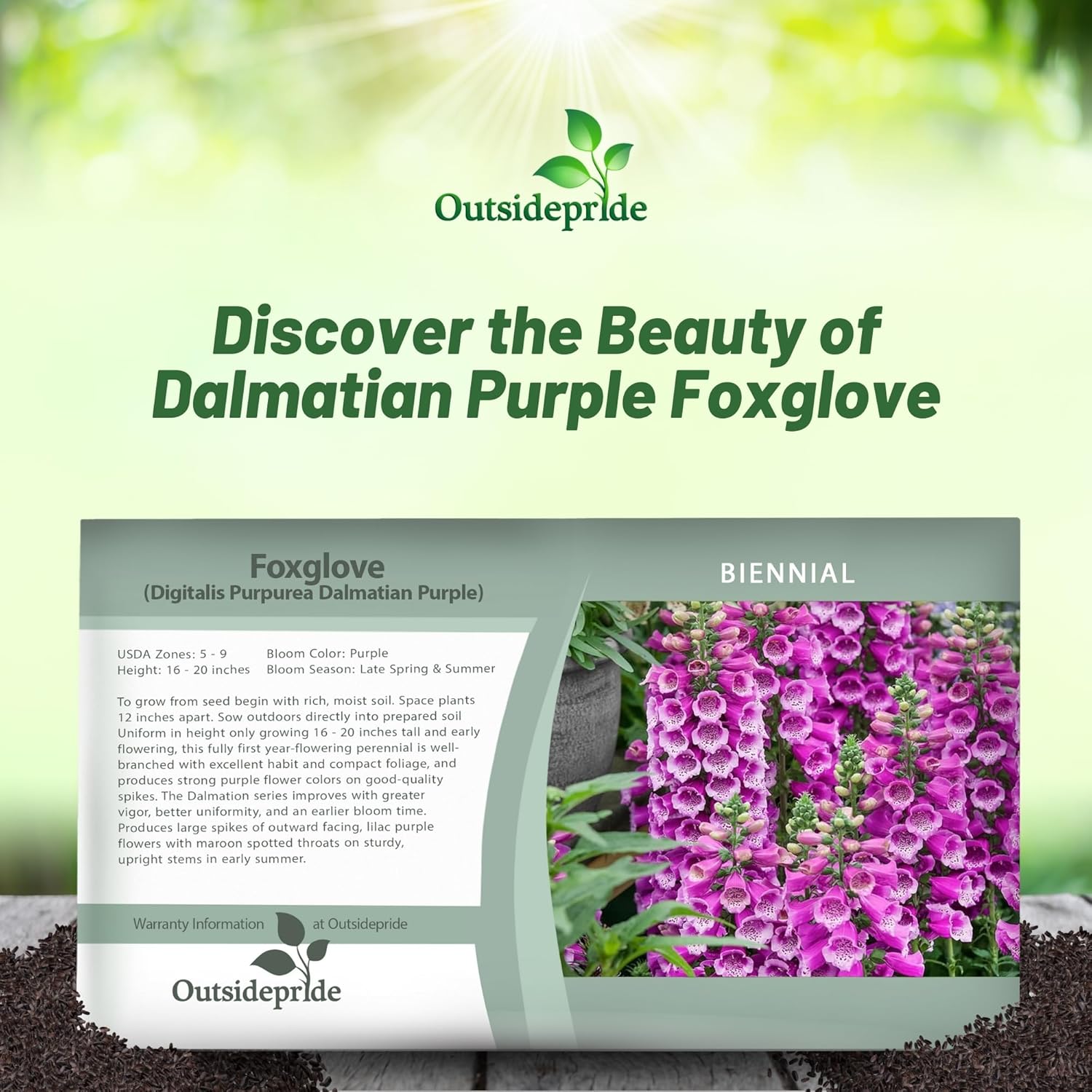 Foxglove Purple Flower Seed Packet