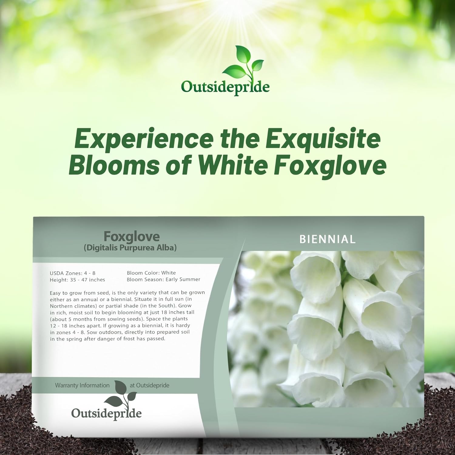 Foxglove White Flower Seed Packet