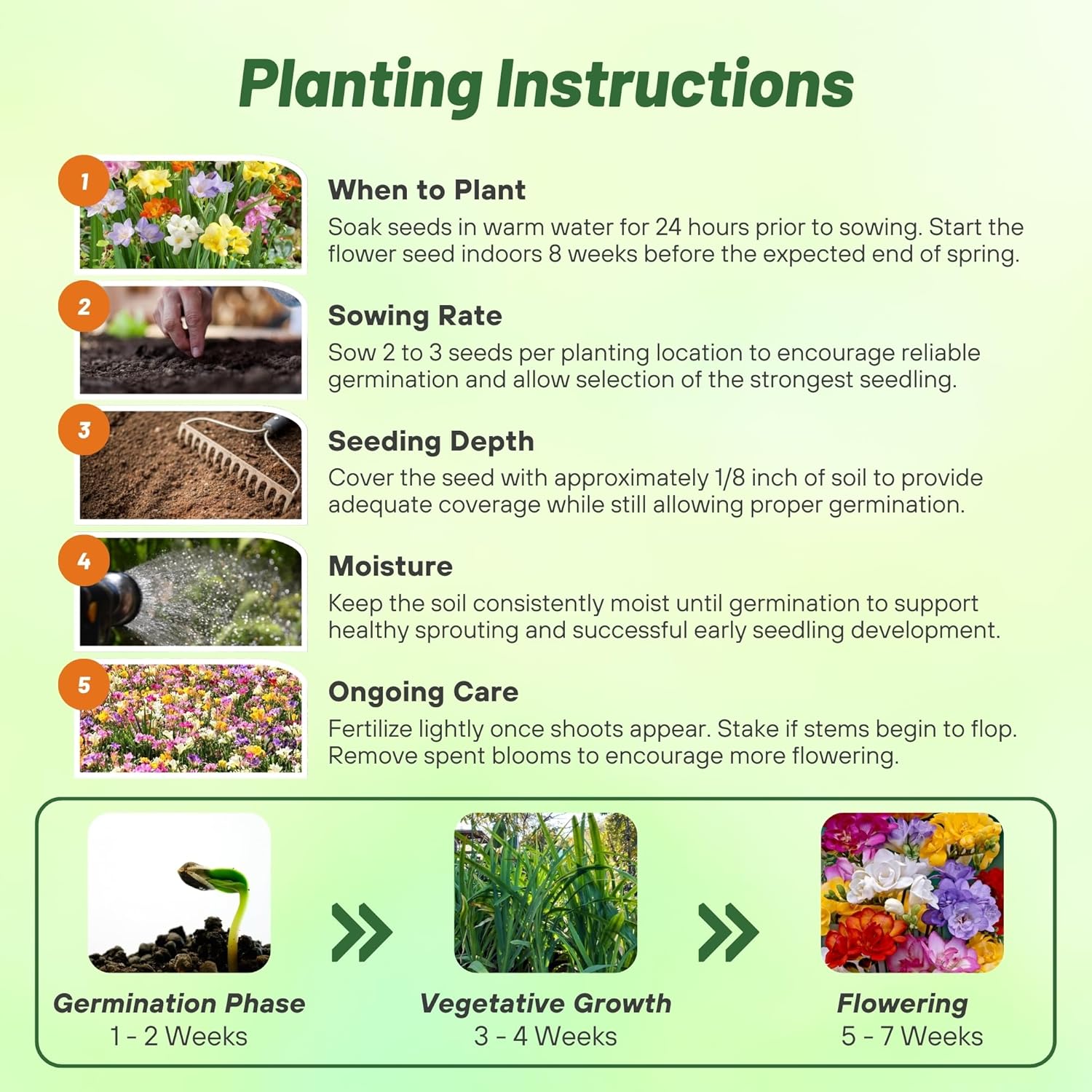 Freesia Seed Planting Directions