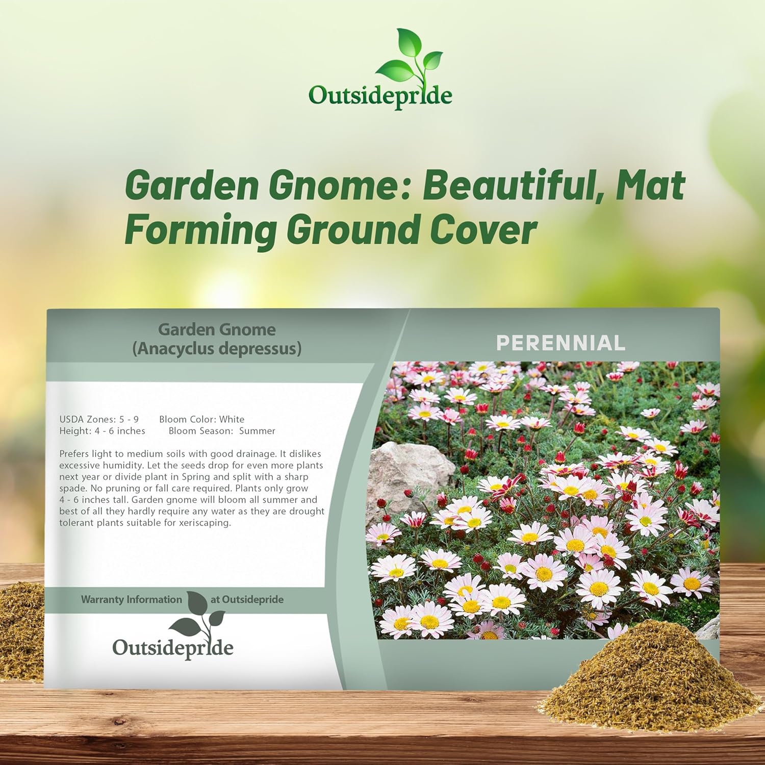 Garden Gnome Seed Packet Mix