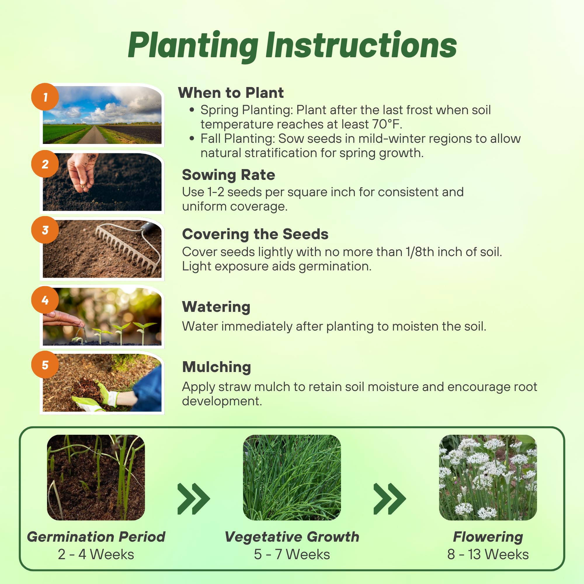 Culinary Uses of Garlic Chives