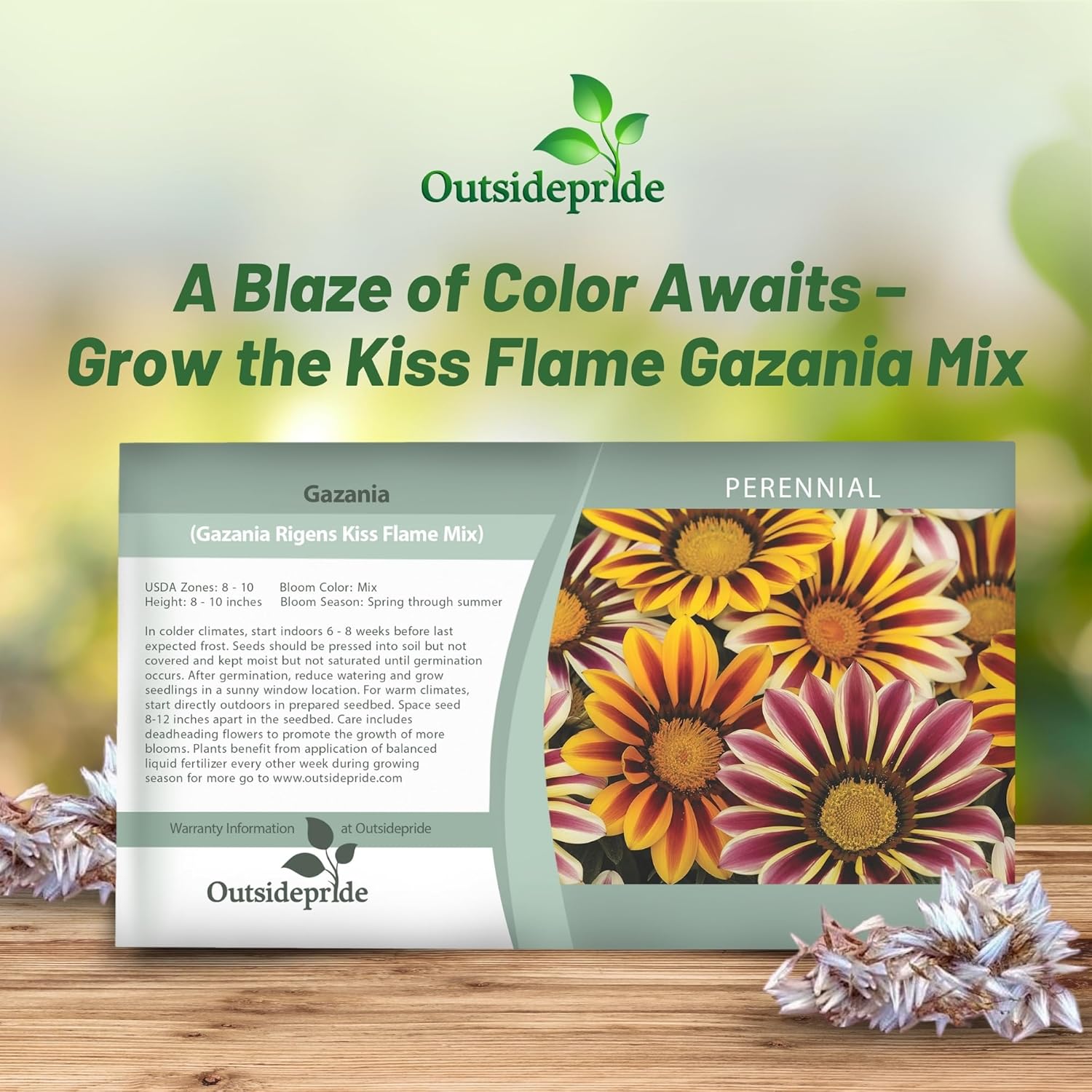 Gazania Kiss Flame Seed Packet Mix