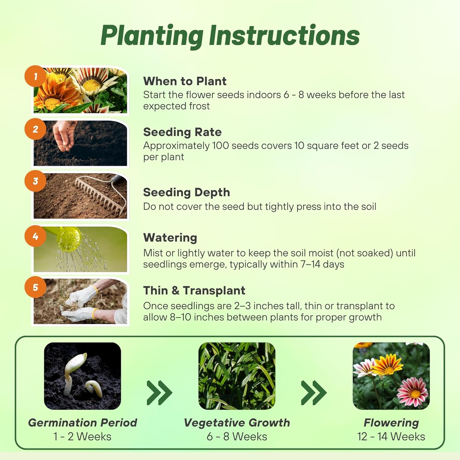 Gazania Kiss Flame Mix Planting Directions