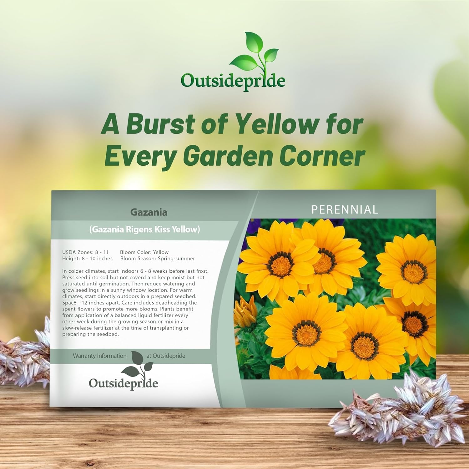 Gazania Kiss Yellow Seed Packet