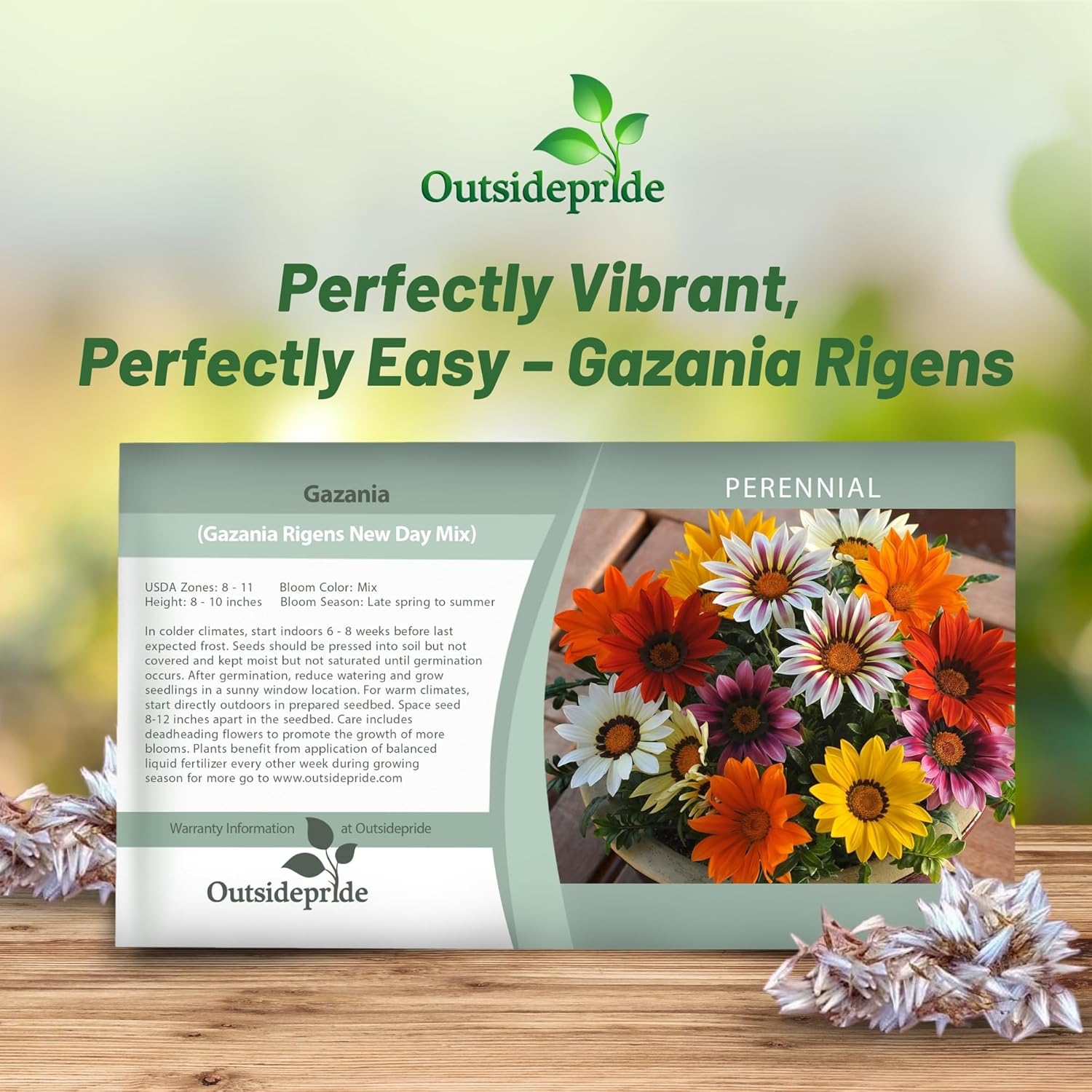 Gazania New Day Flower Seed Packet Mix