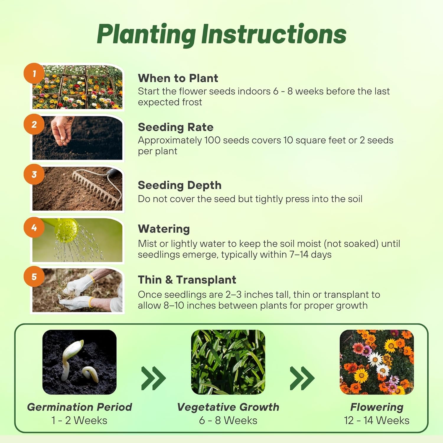 Gazania New Day Seed Planting Directions
