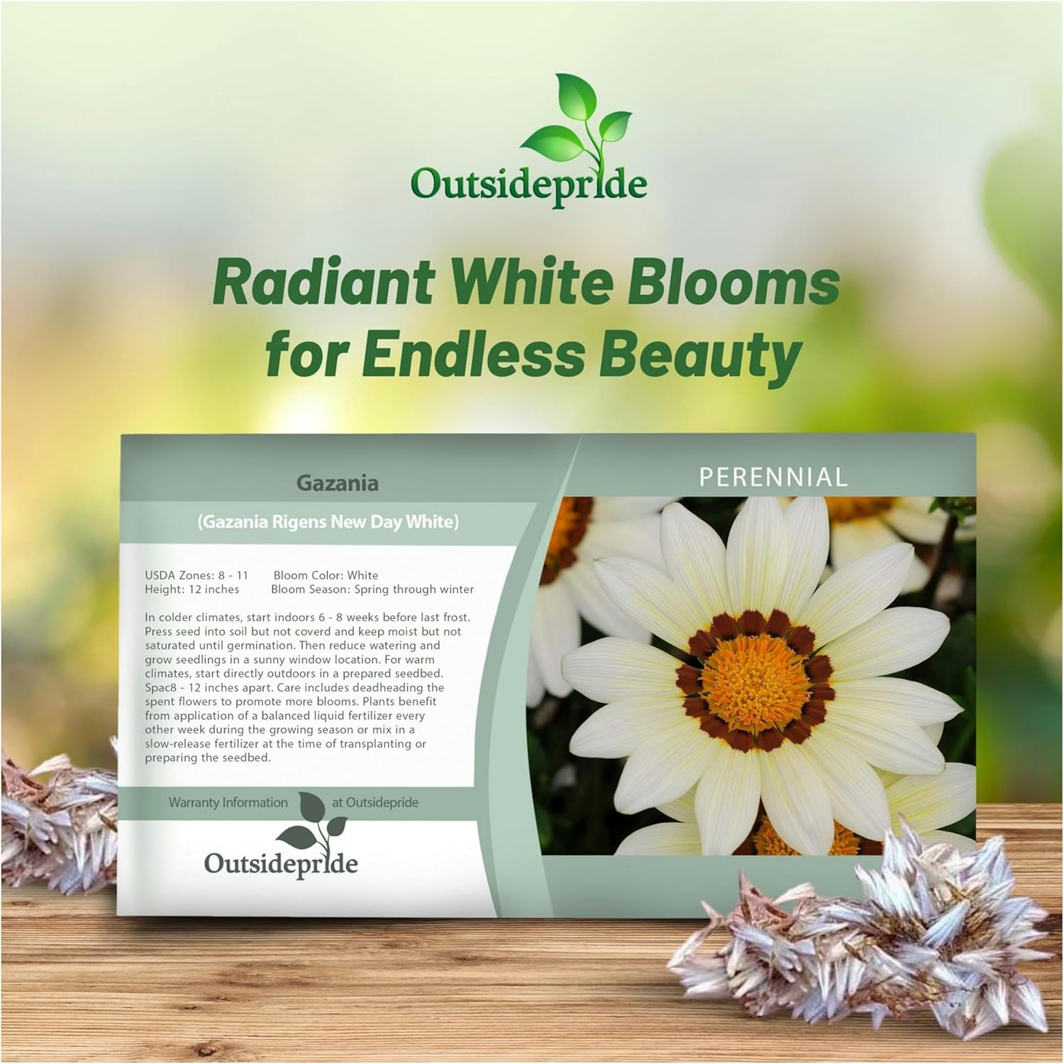 Gazania White Seed Packet
