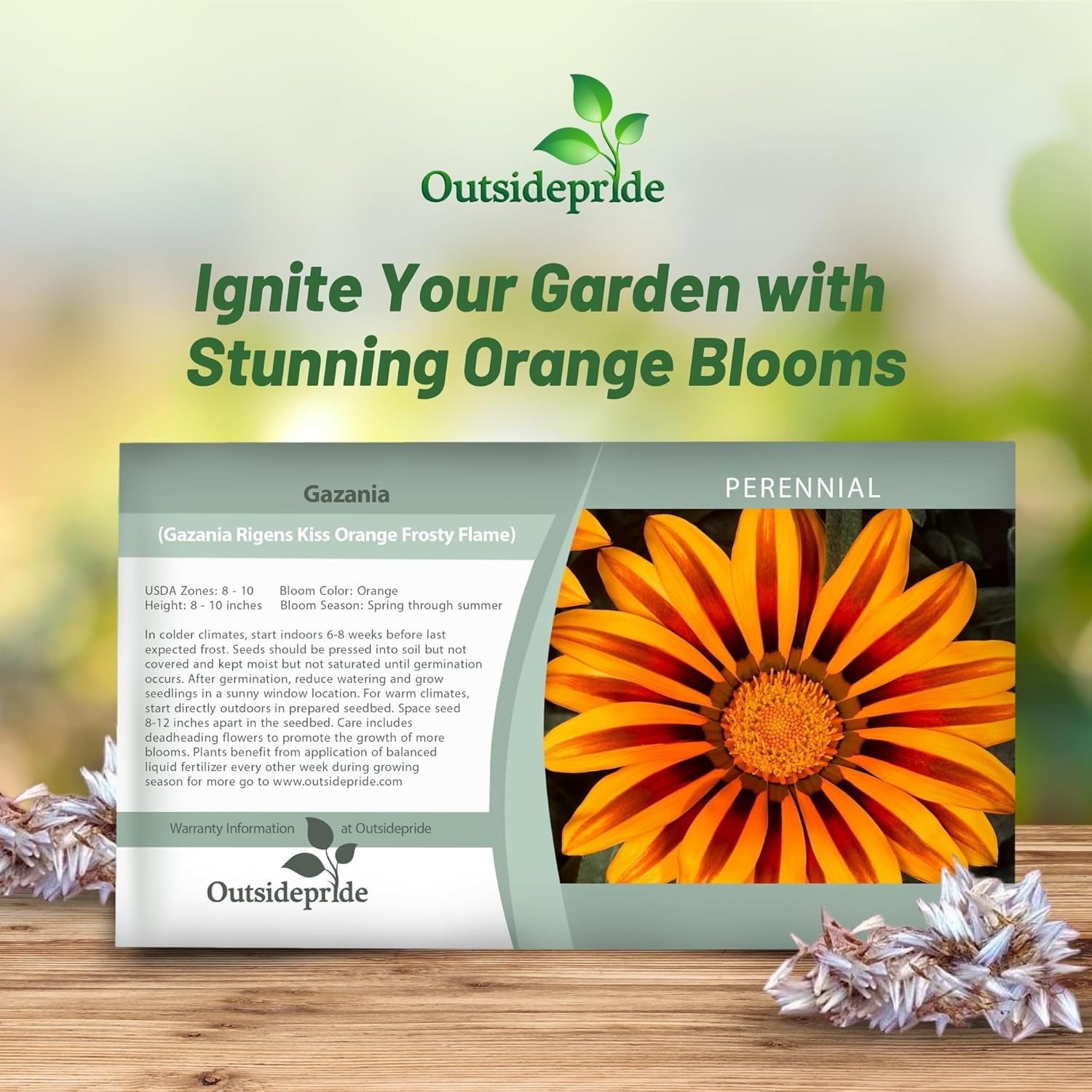 Gazania Kiss Orange Flame Seed Packet