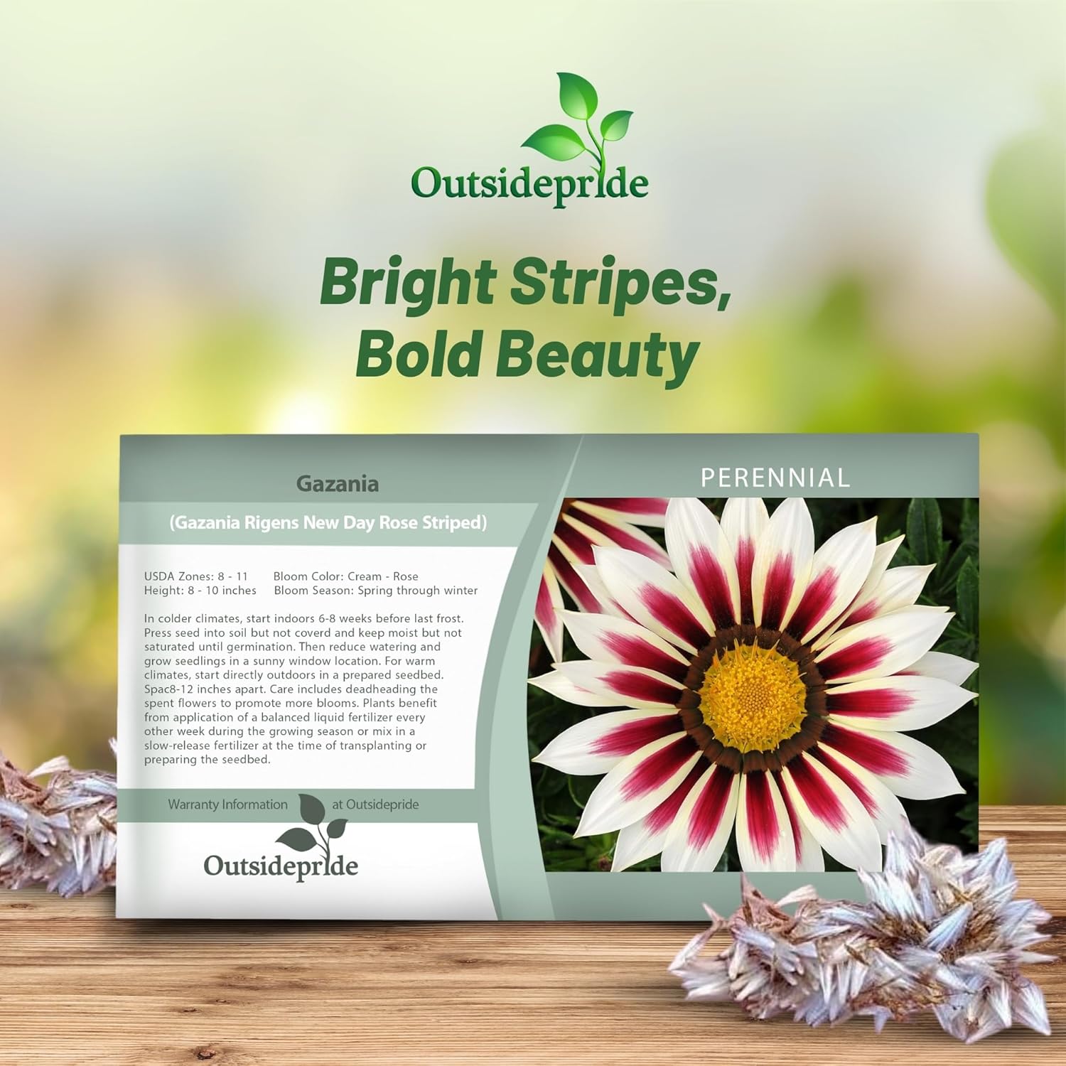 Gazania Rose Striped Seed Packet