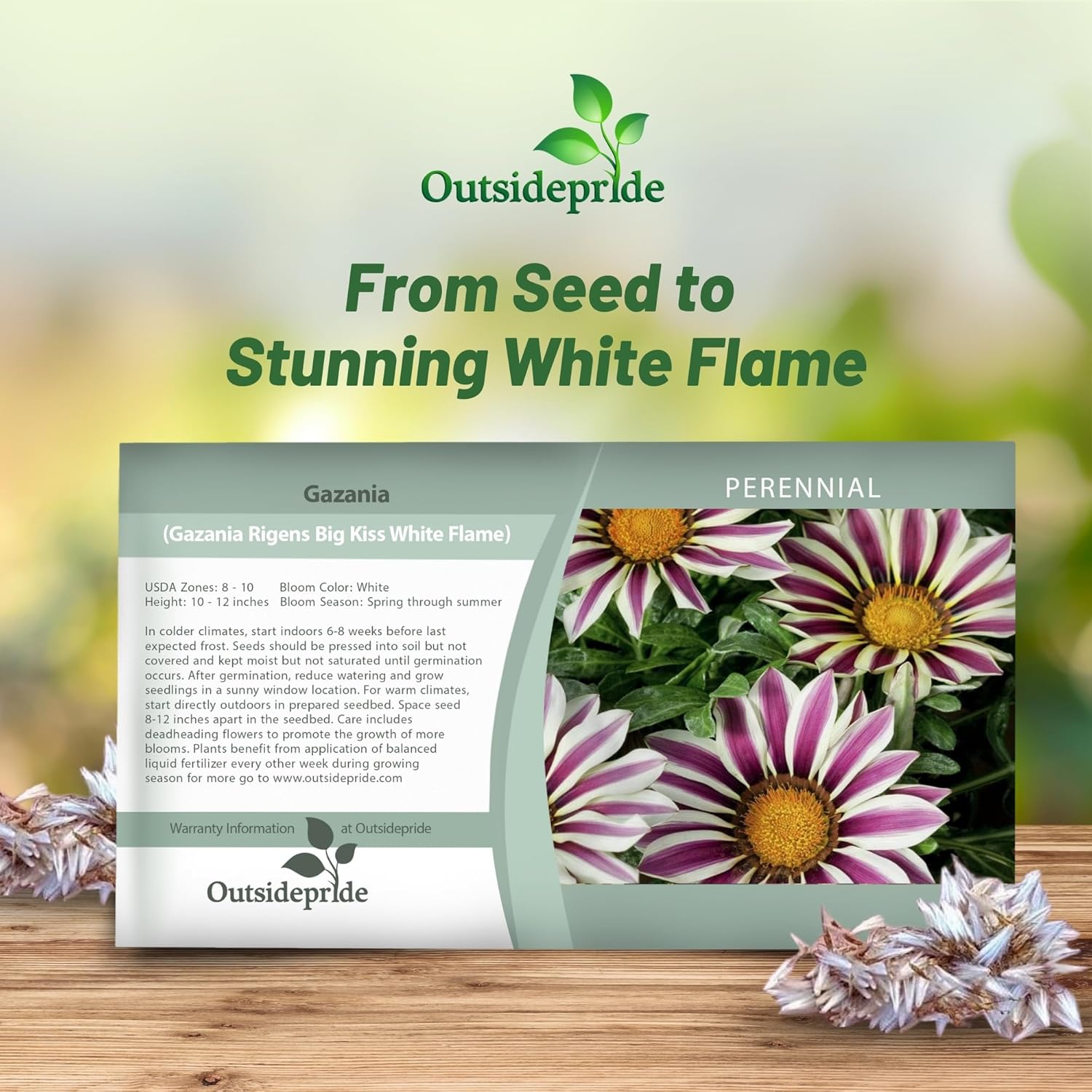 Gazania Big Kiss White Flame Seed Packet