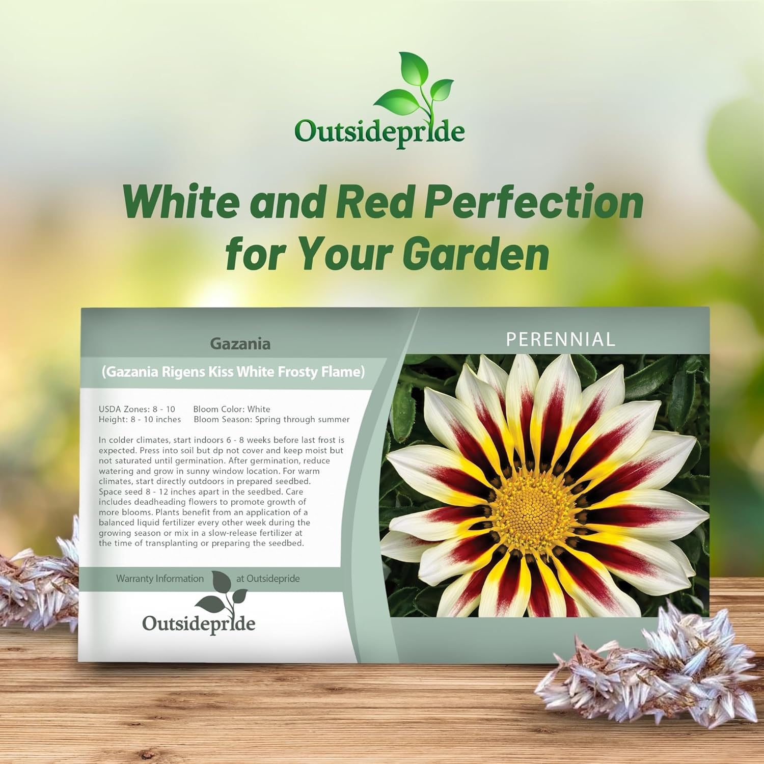 Gazania Kiss White Frosty Flame Seed Packet