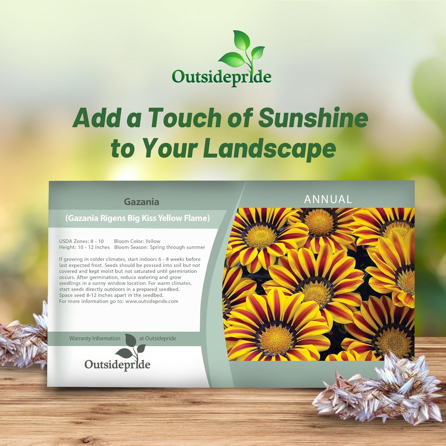 Gazania Big Kiss Yellow Flame Seed Packet