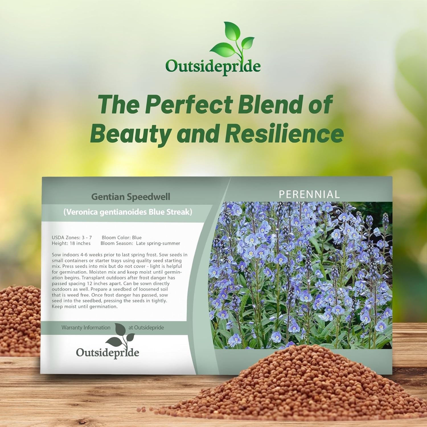 Veronica Blue Streak Seed Packet