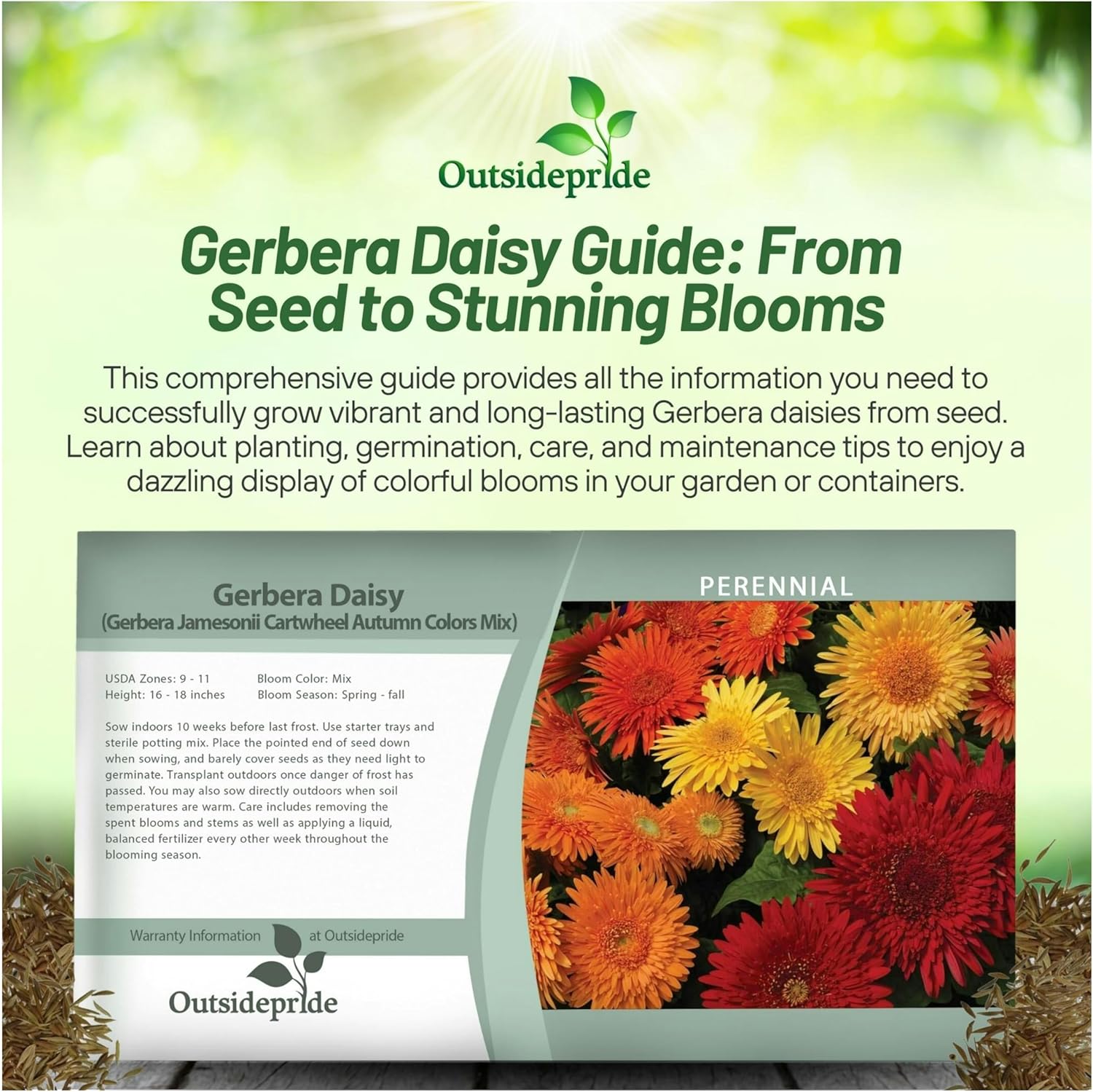 Gerbera Cartwheel Autumn Colors Seed Packet