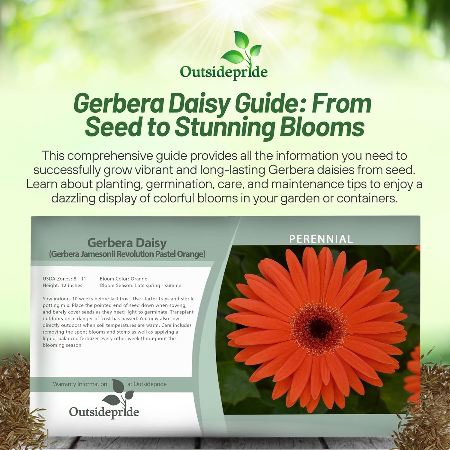 Gerbera Revolution Pastel Orange Seed Packet