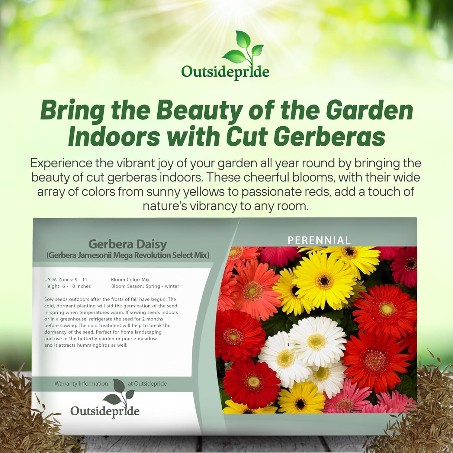 Gerbera Revolution Select Seed Packet