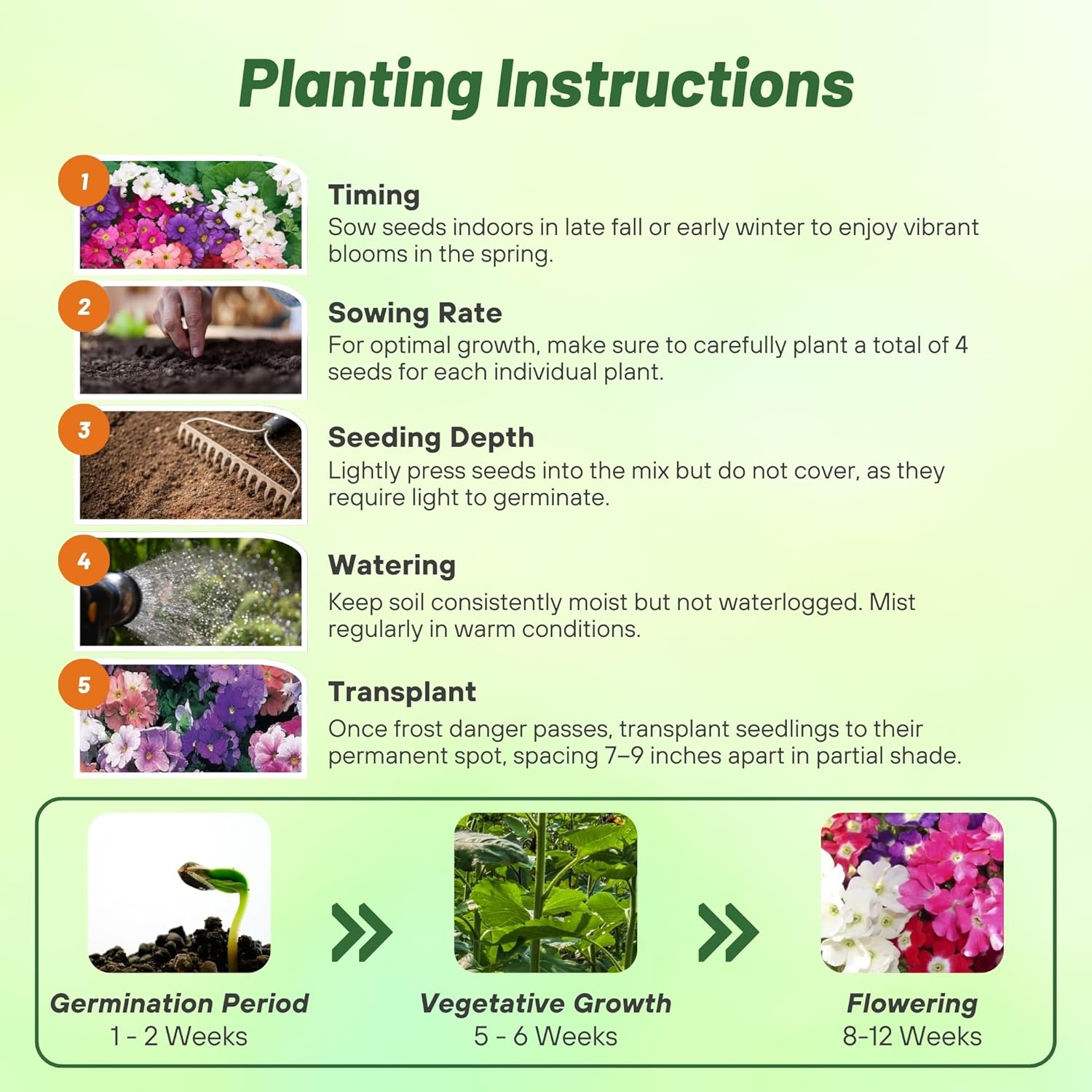German Primrose Libre Planting Directions